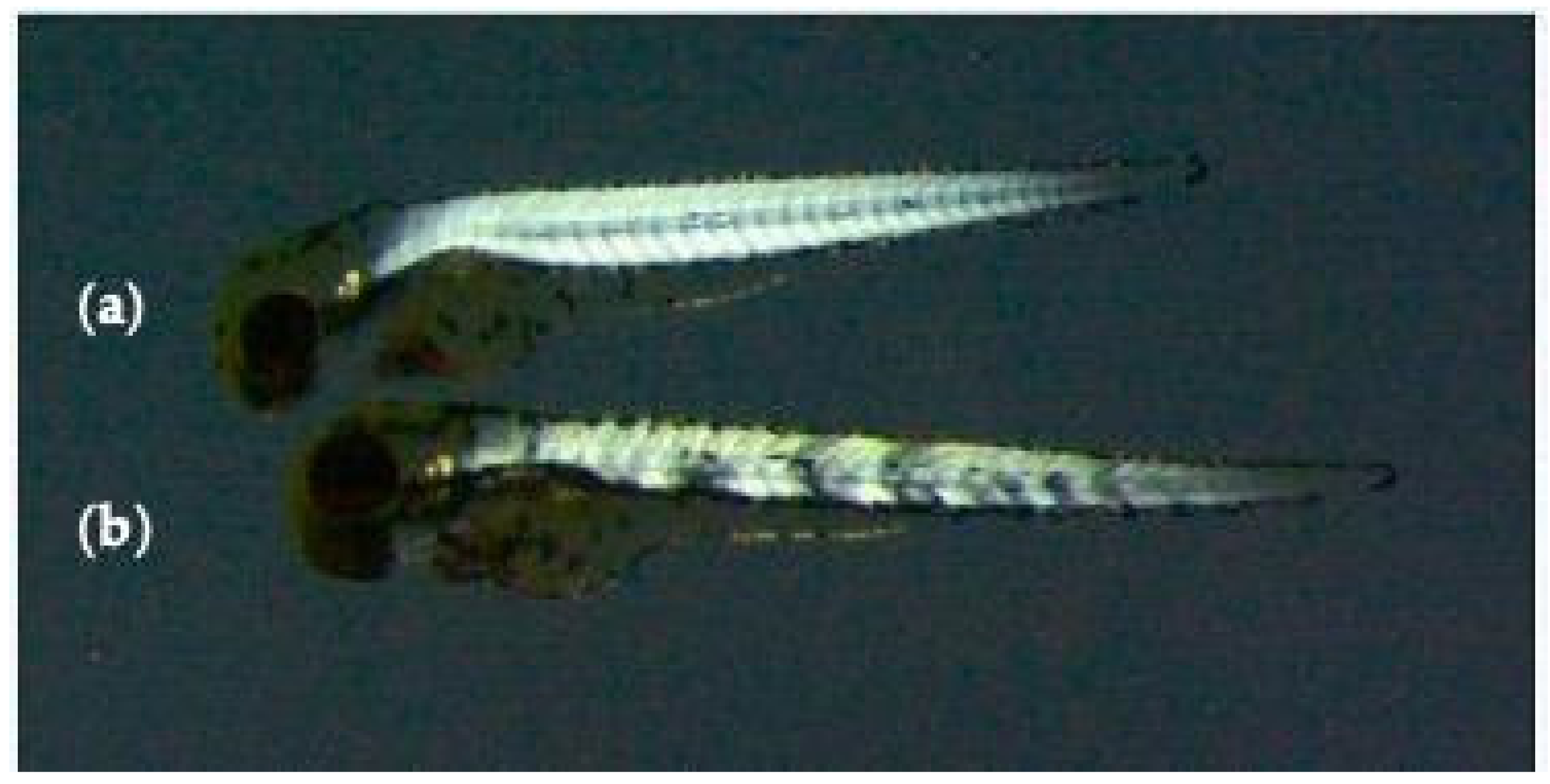 Nutrients 13 01619 g001