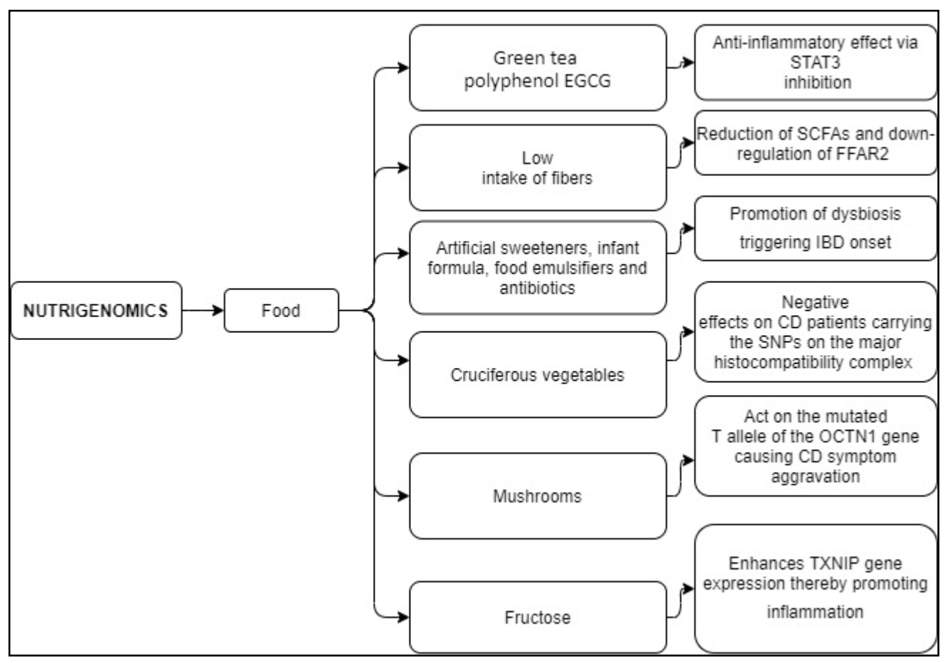 Nutrients 13 01628 g003
