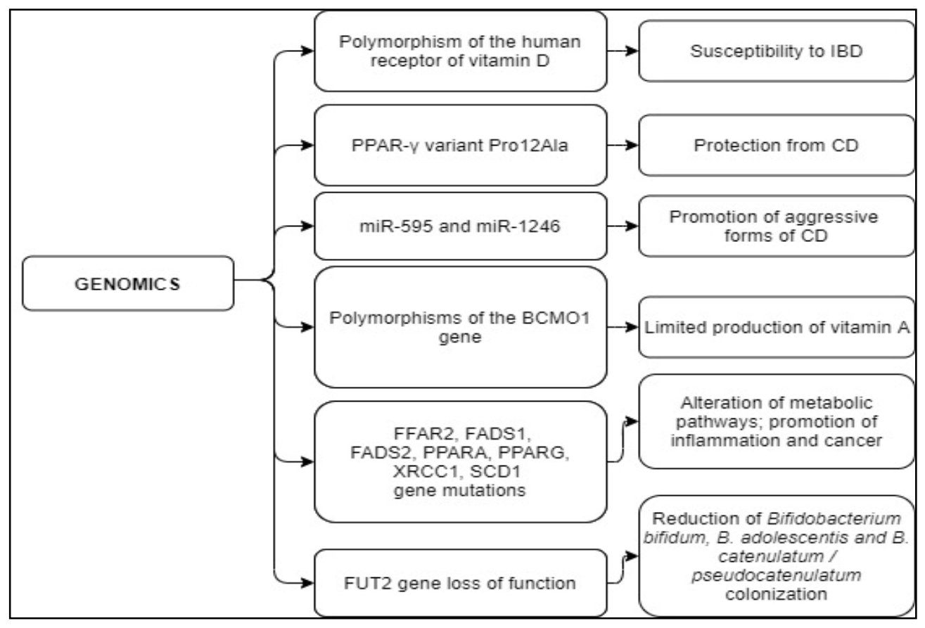 Nutrients 13 01628 g004