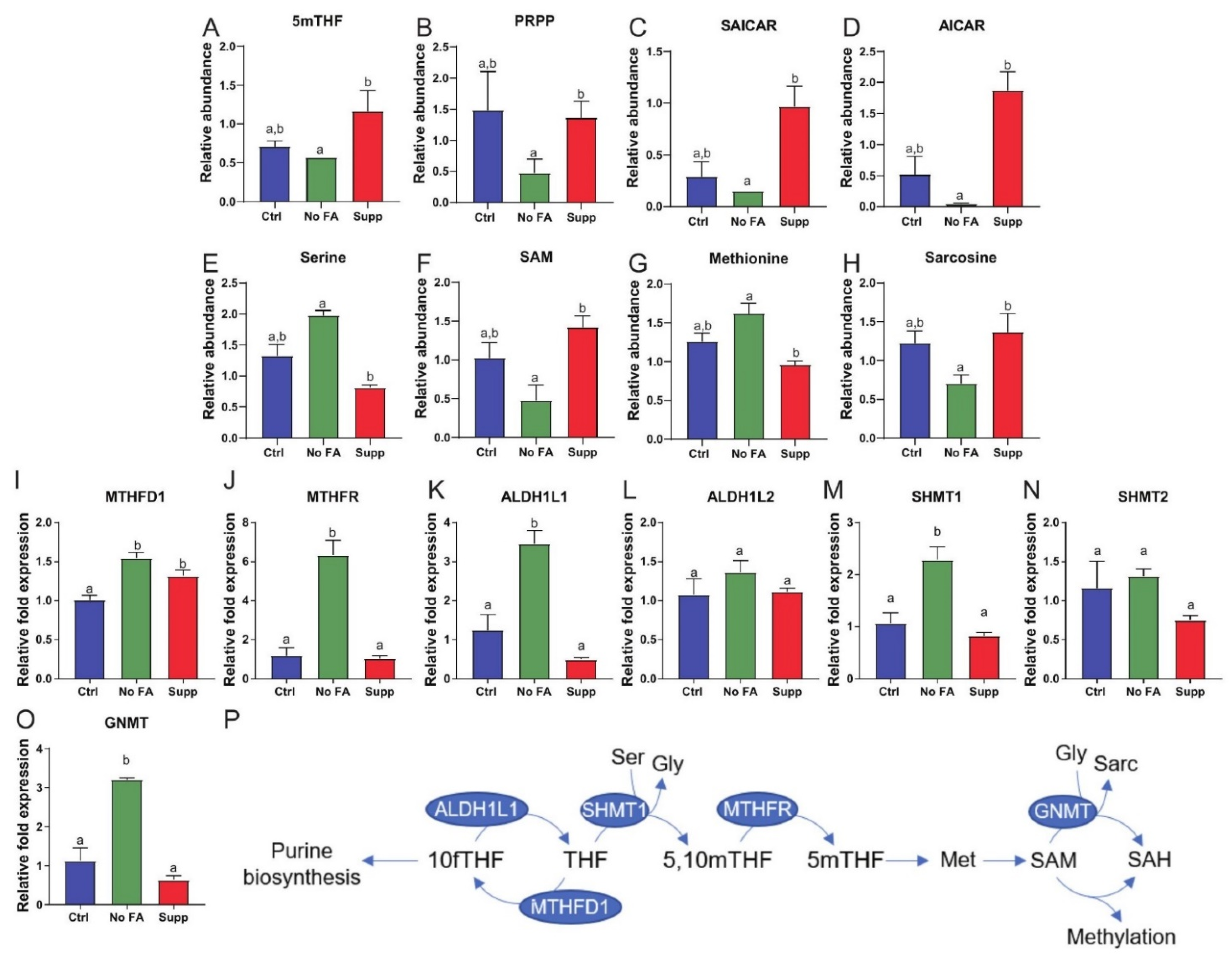 Nutrients 13 01637 g002