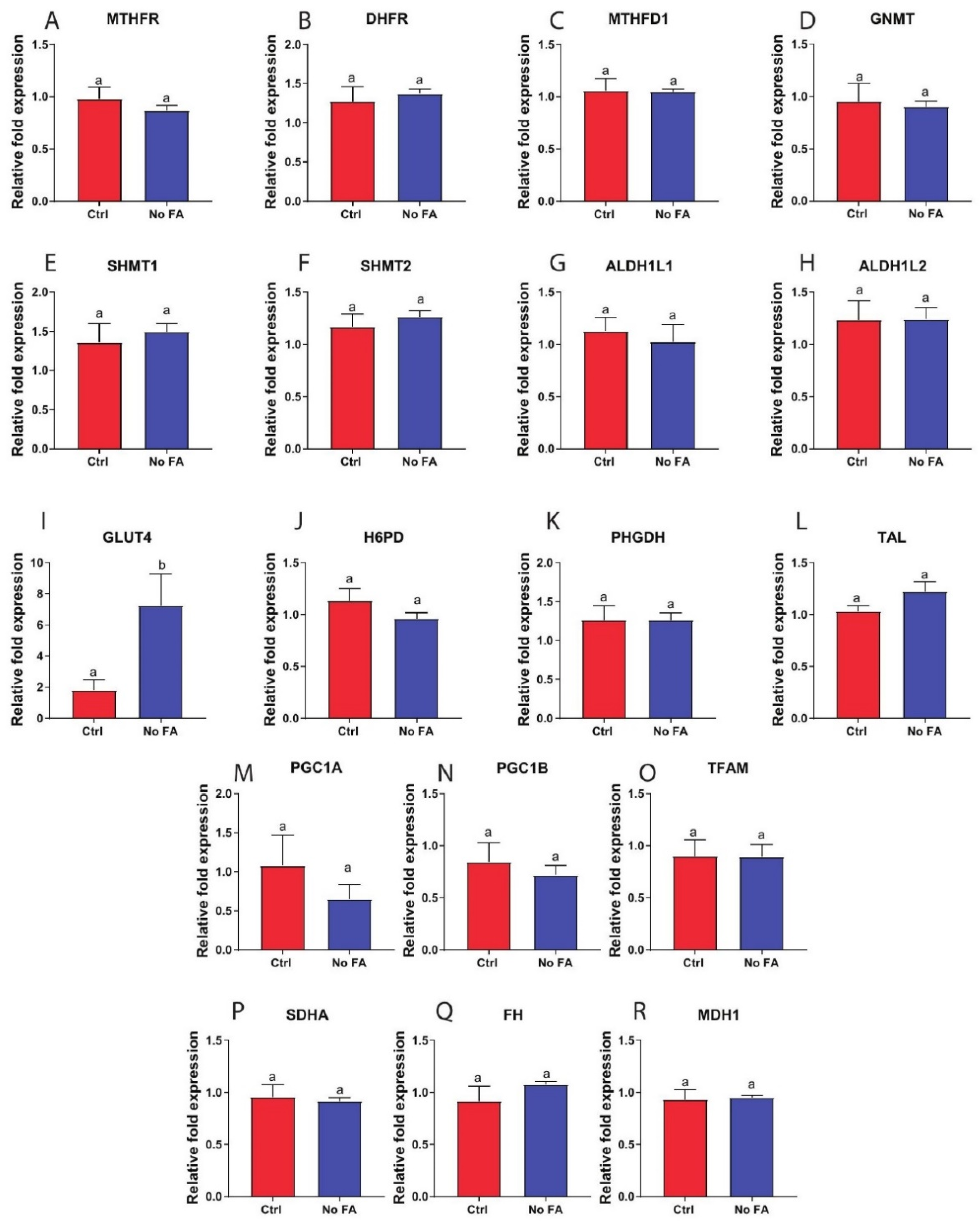 Nutrients 13 01637 g008