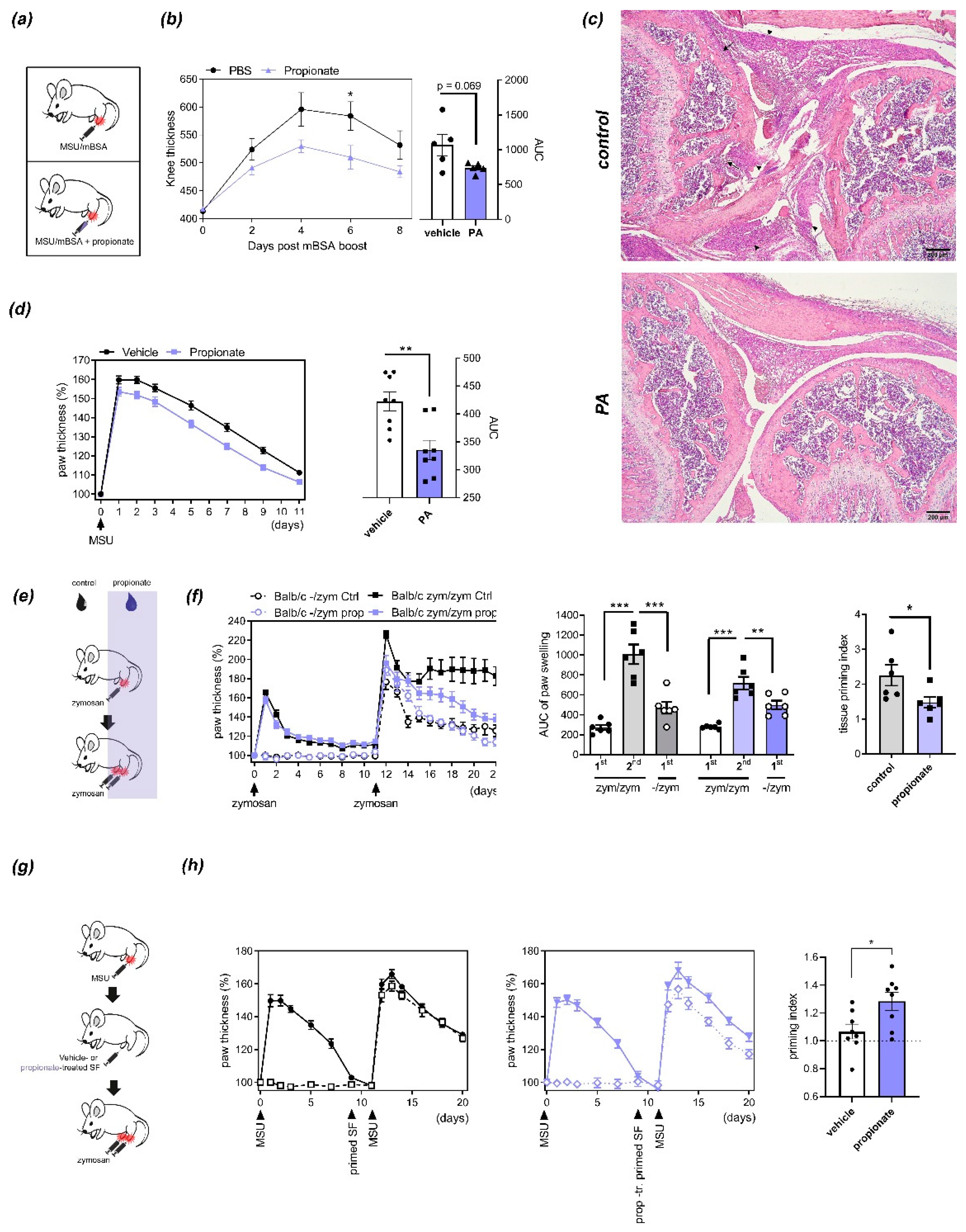 Nutrients 13 01643 g001