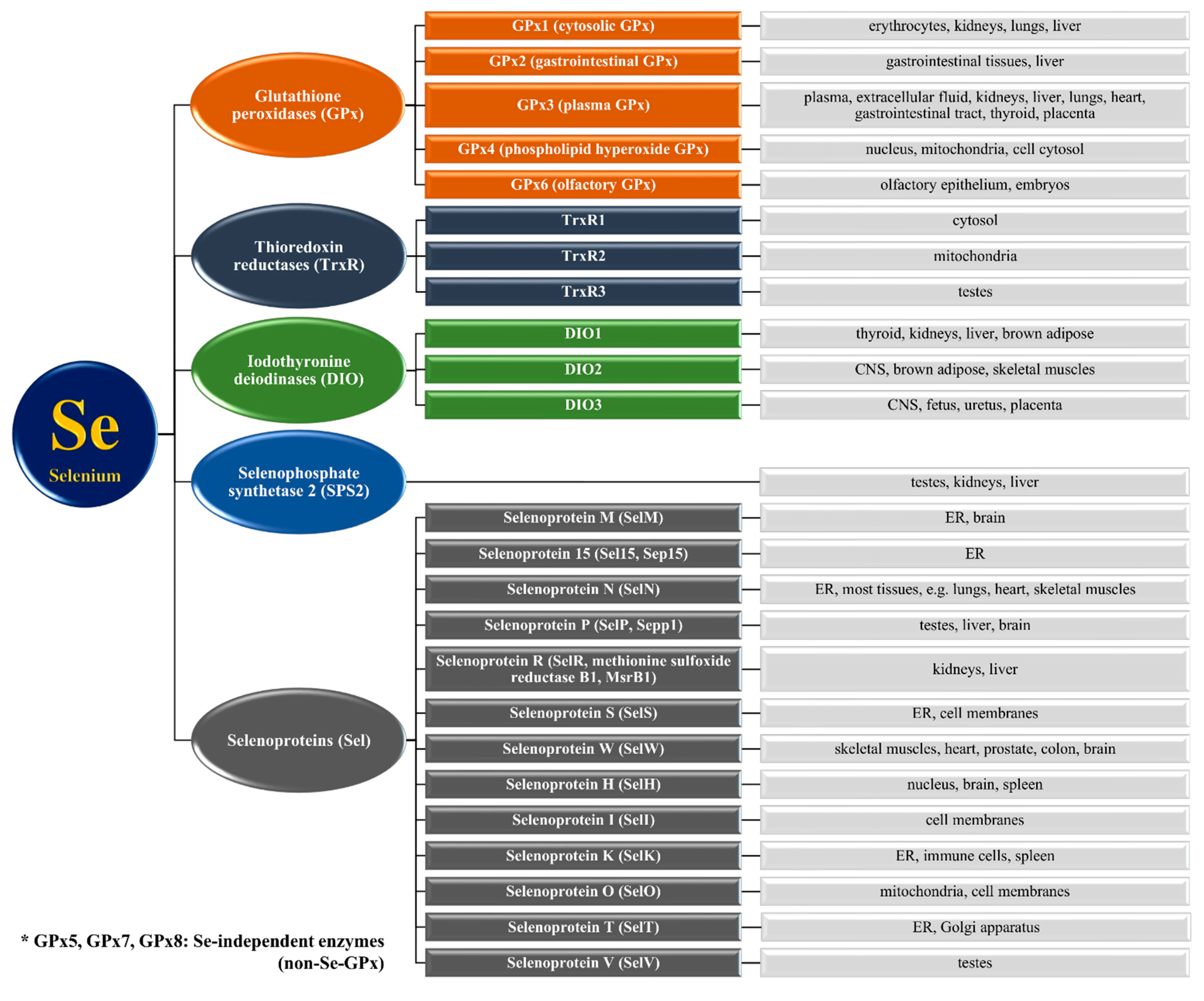 Nutrients 13 01649 g002