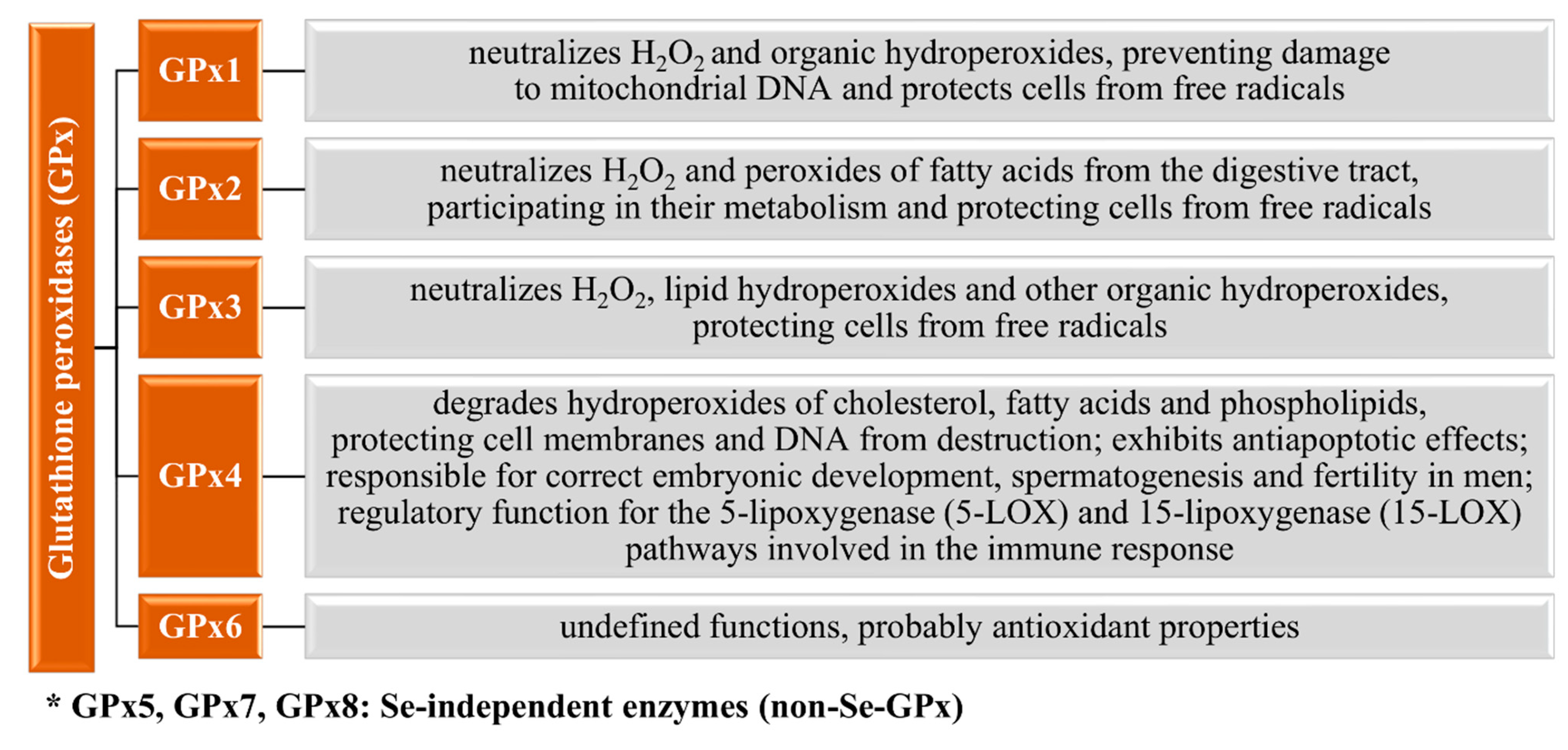 Nutrients 13 01649 g003