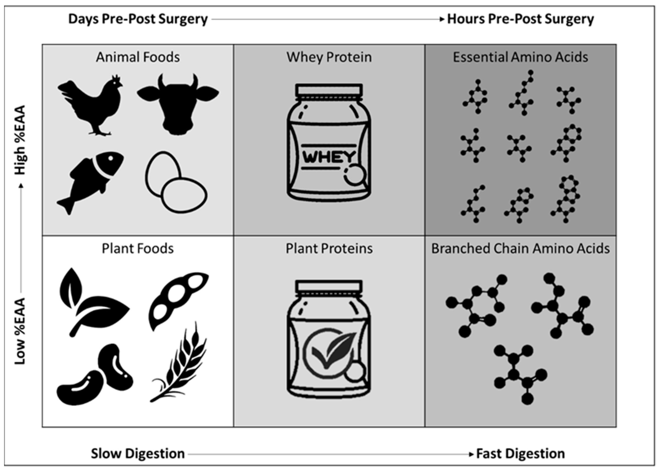 Nutrients 13 01675 g002