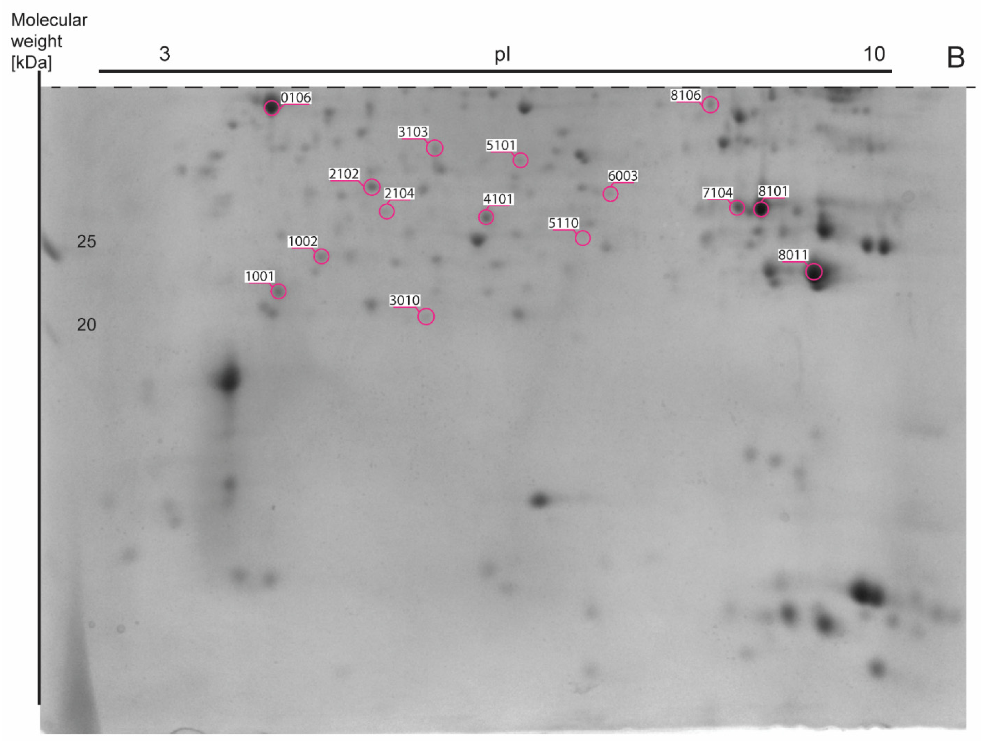 Nutrients 13 01678 g005