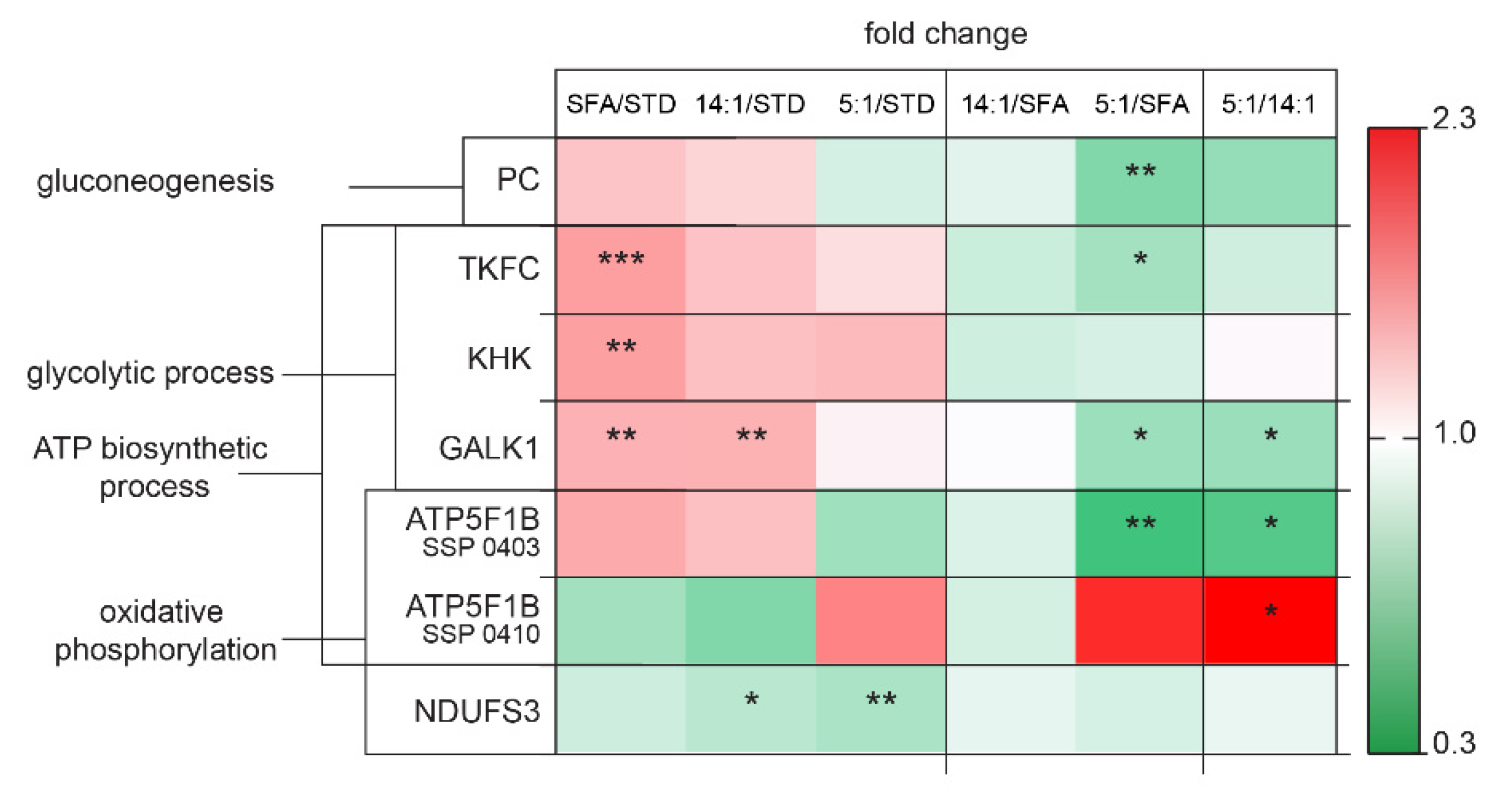Nutrients 13 01678 g008