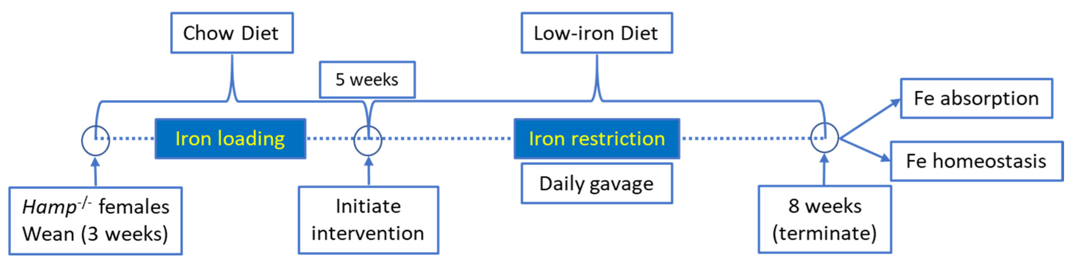 Nutrients 13 01686 g001