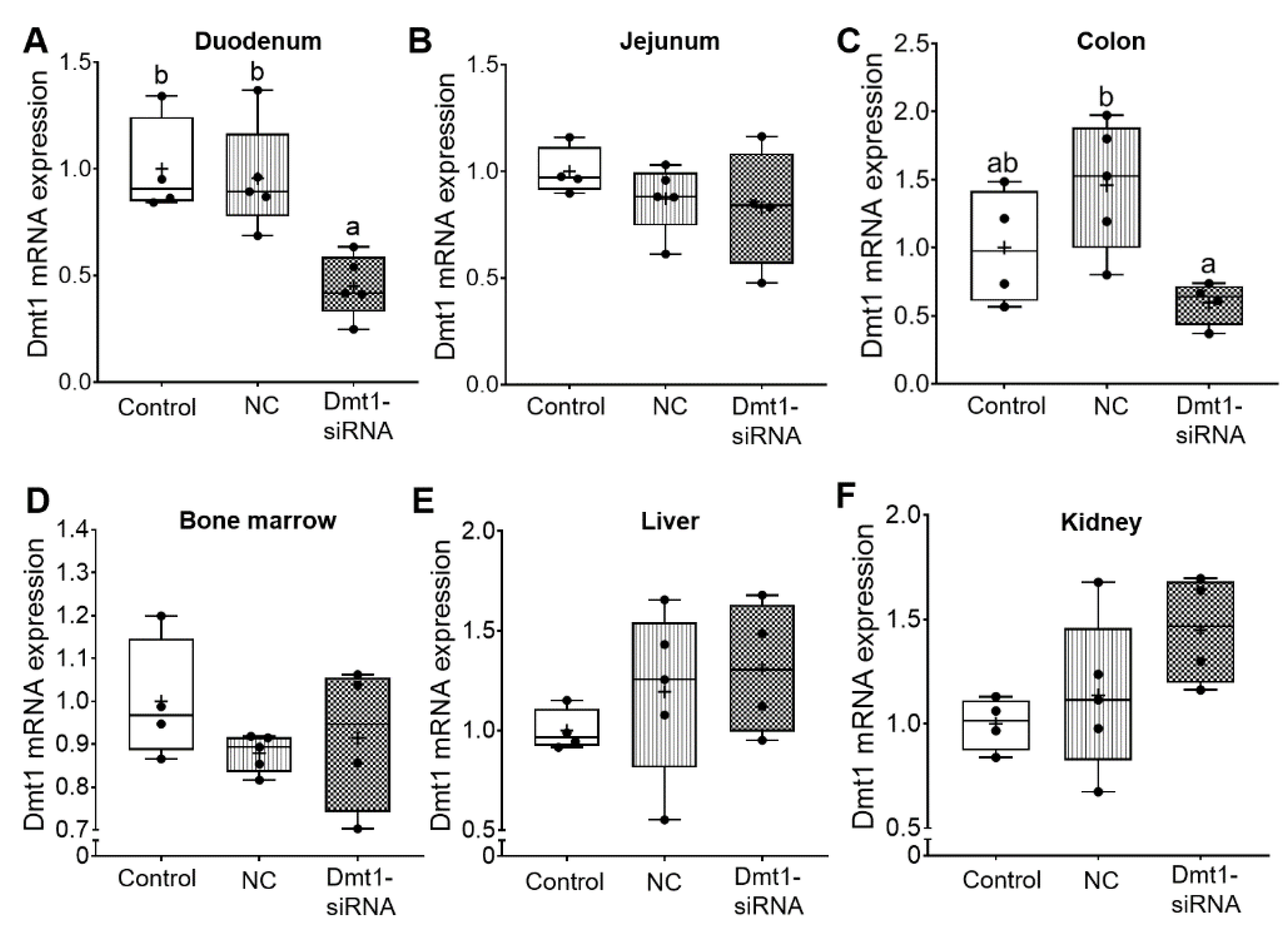Nutrients 13 01686 g005
