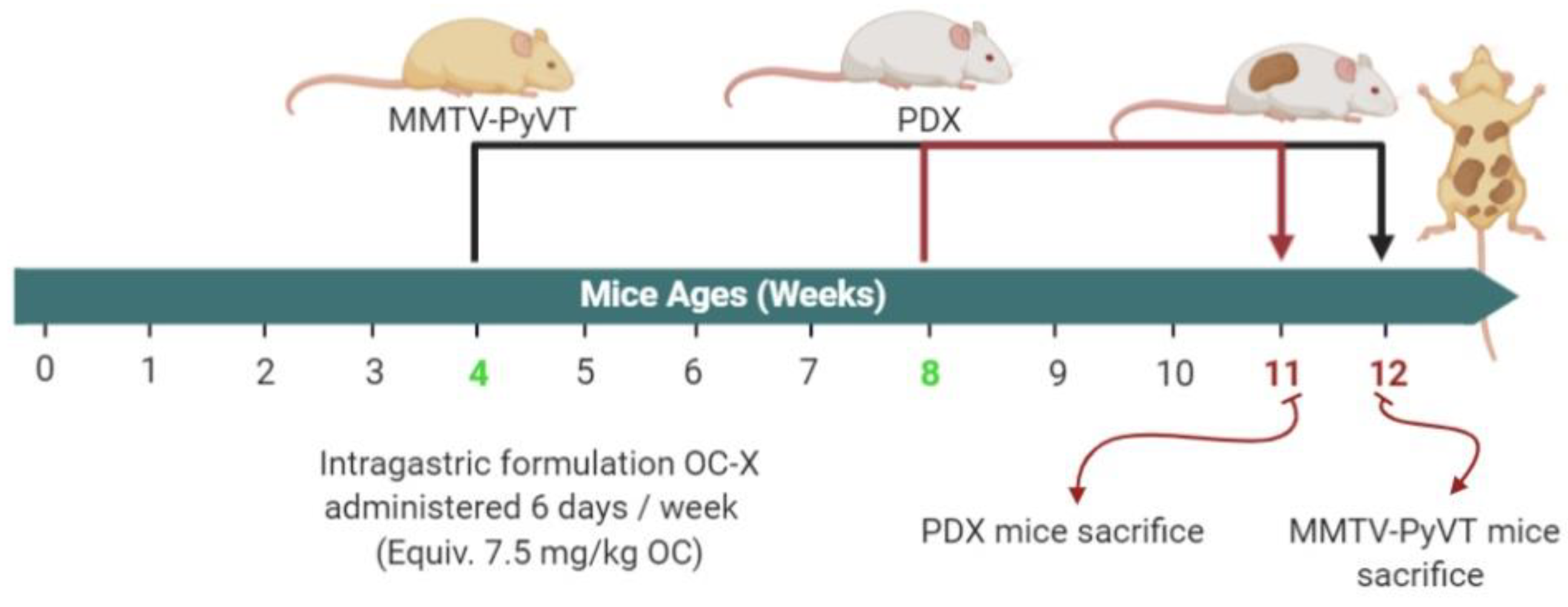 Nutrients 13 01706 g001