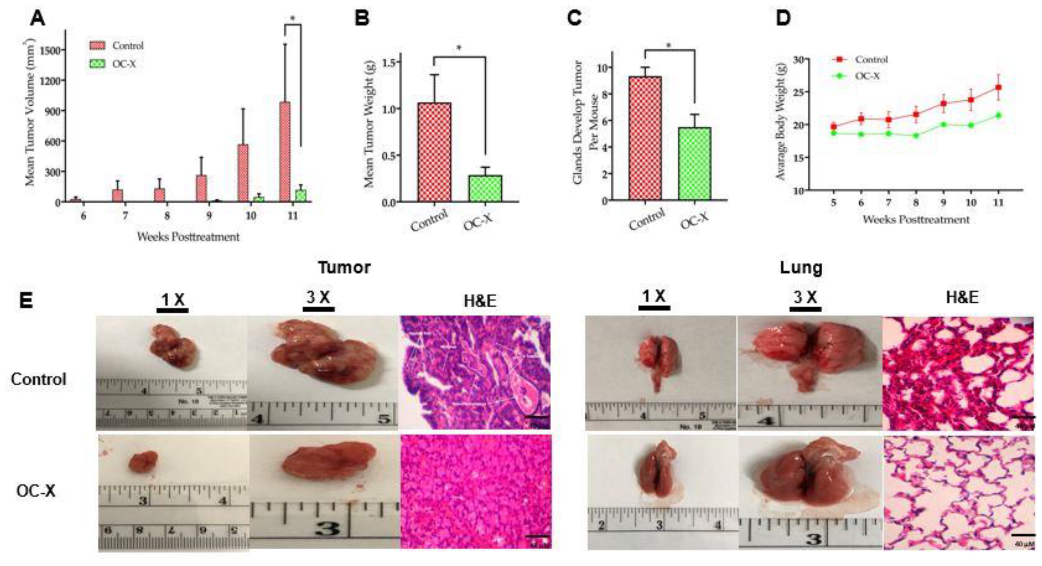 Nutrients 13 01706 g002