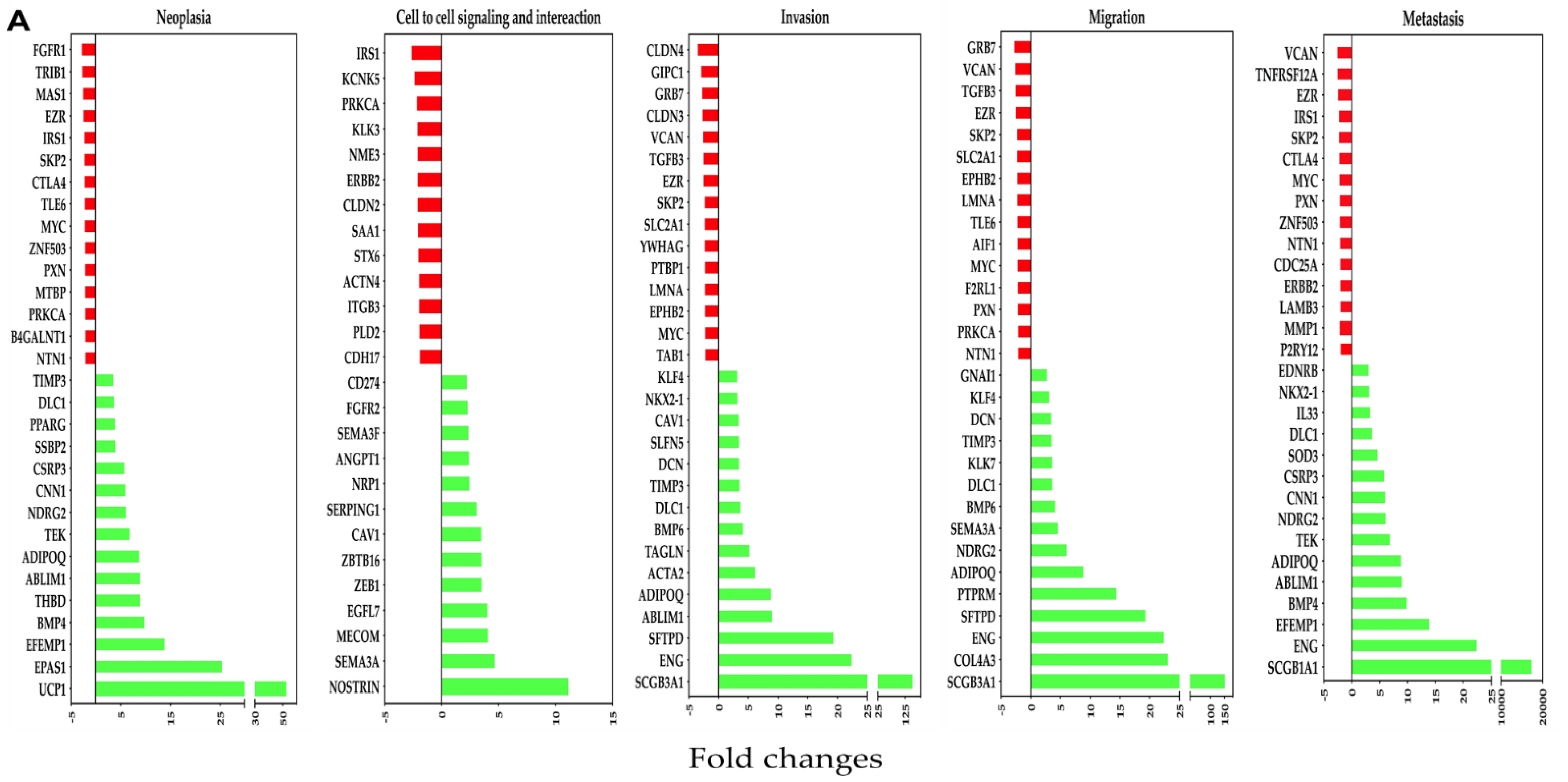Nutrients 13 01706 g005a