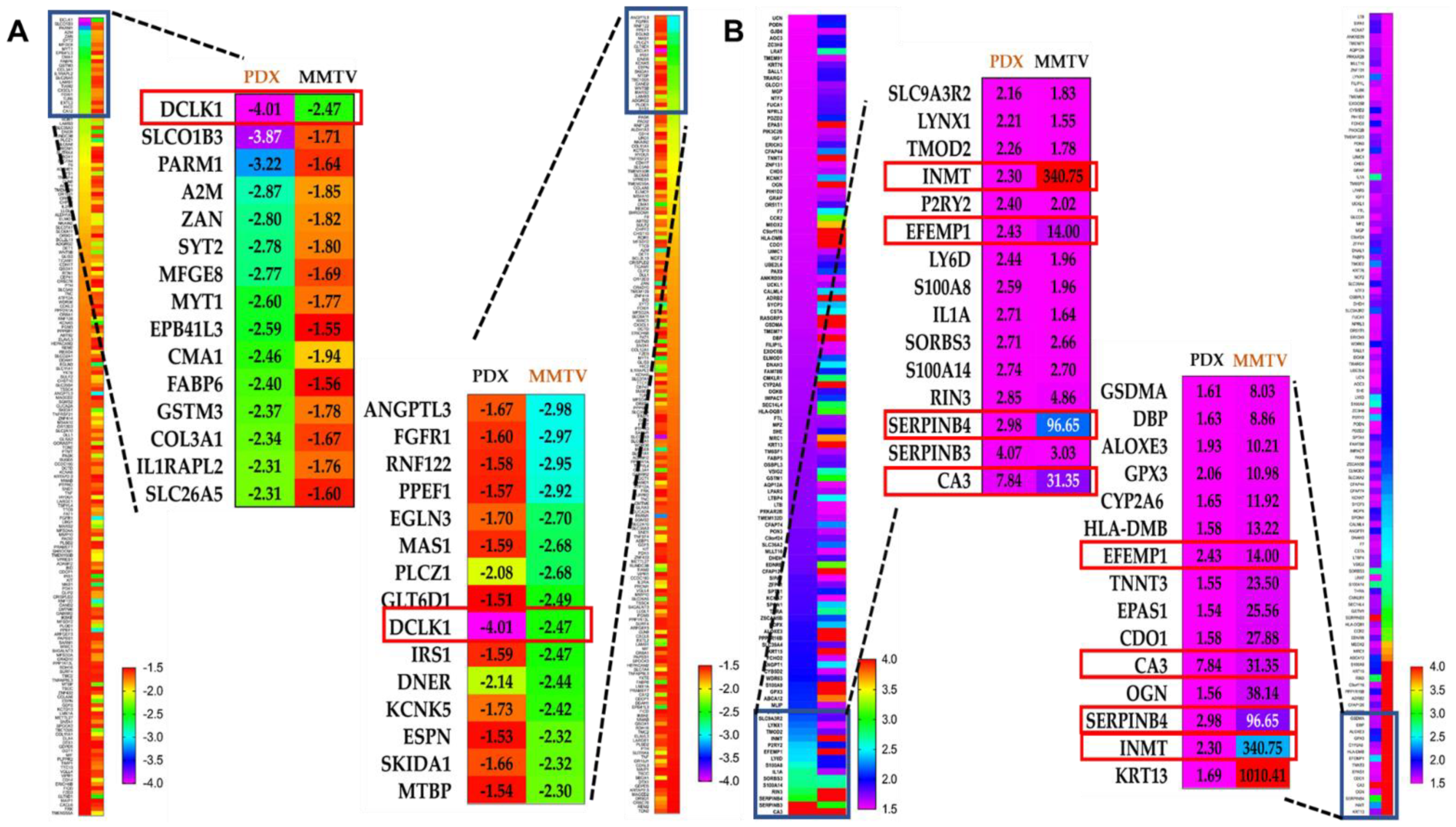 Nutrients 13 01706 g006