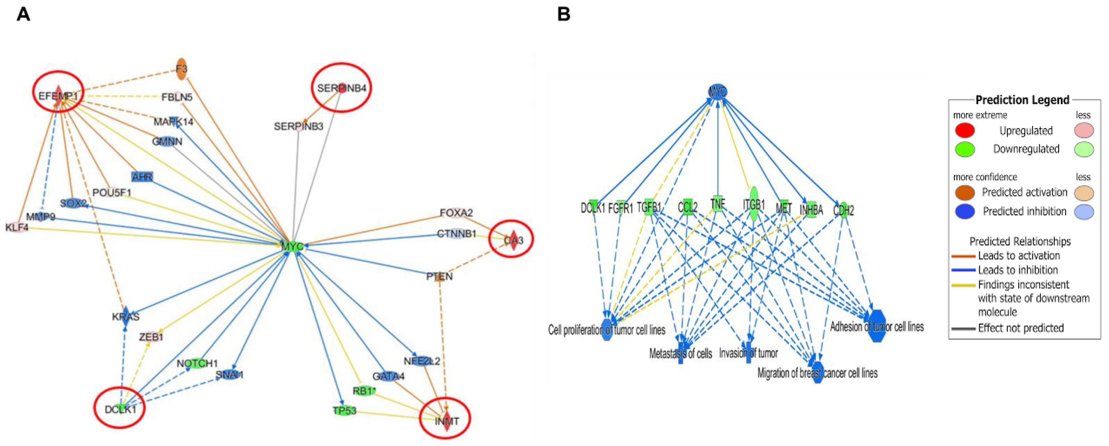 Nutrients 13 01706 g007