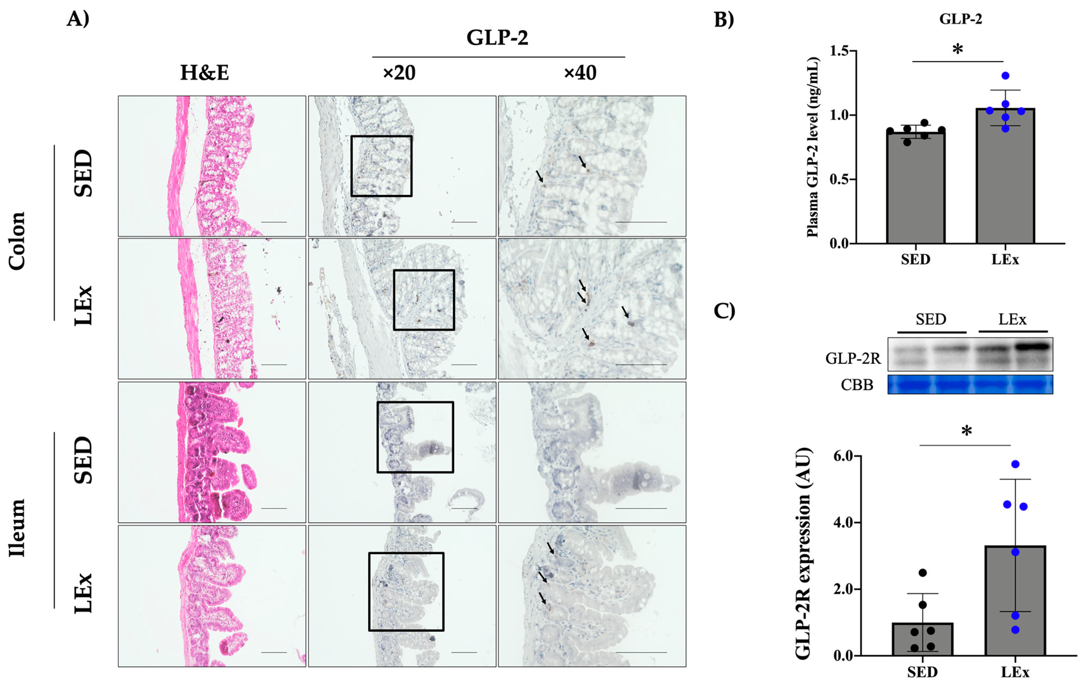 Nutrients 13 01735 g002