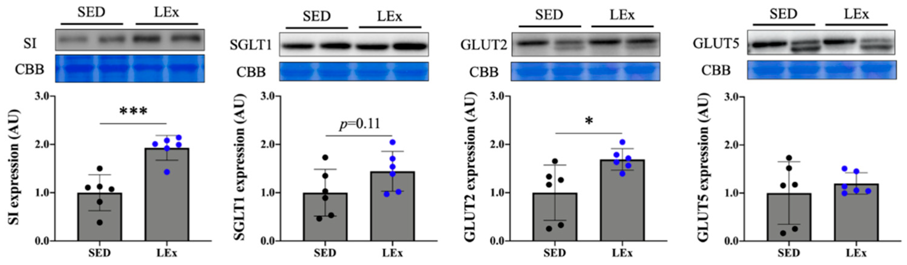 Nutrients 13 01735 g004
