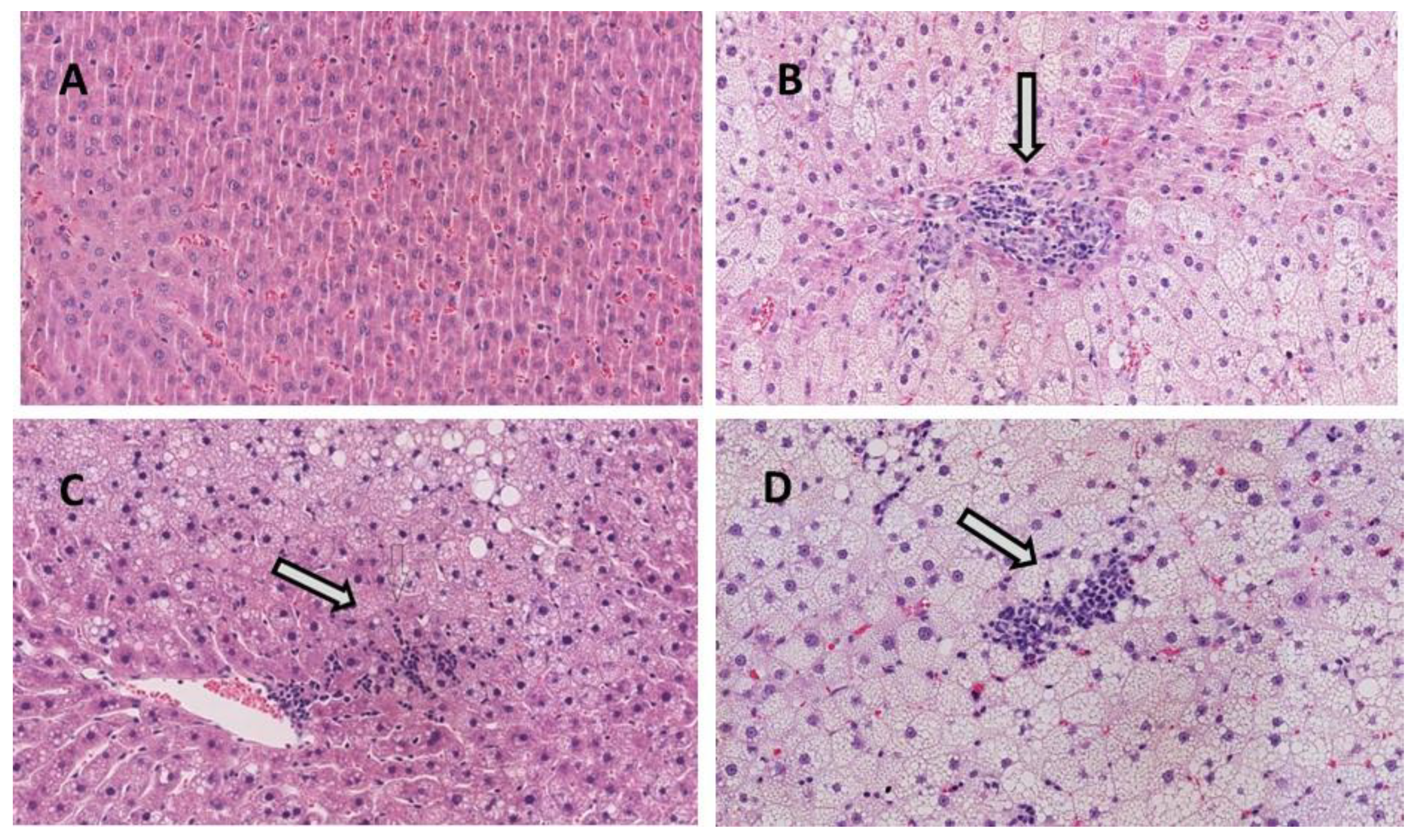 Nutrients 13 01738 g002