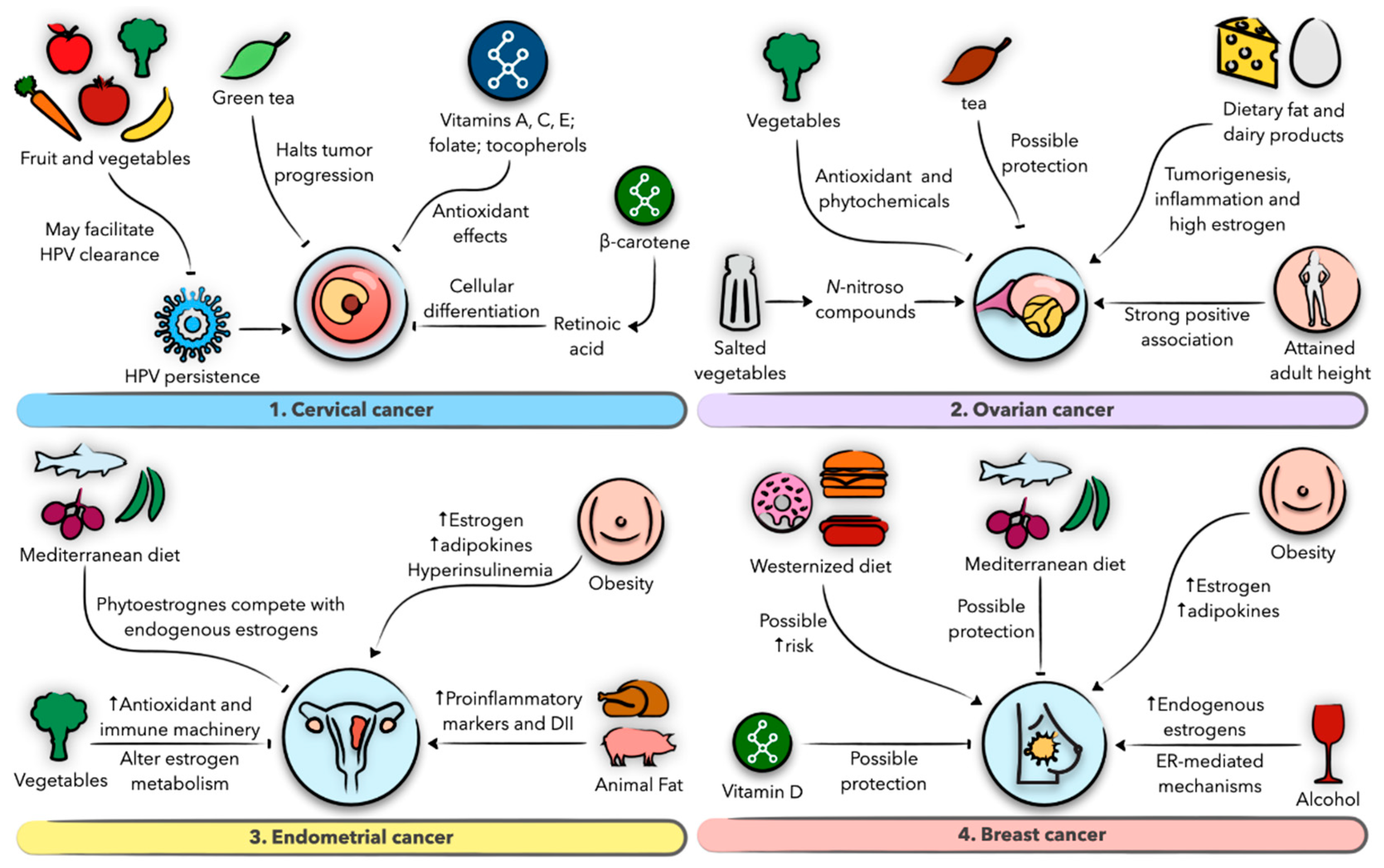 Nutrients 13 01747 g004