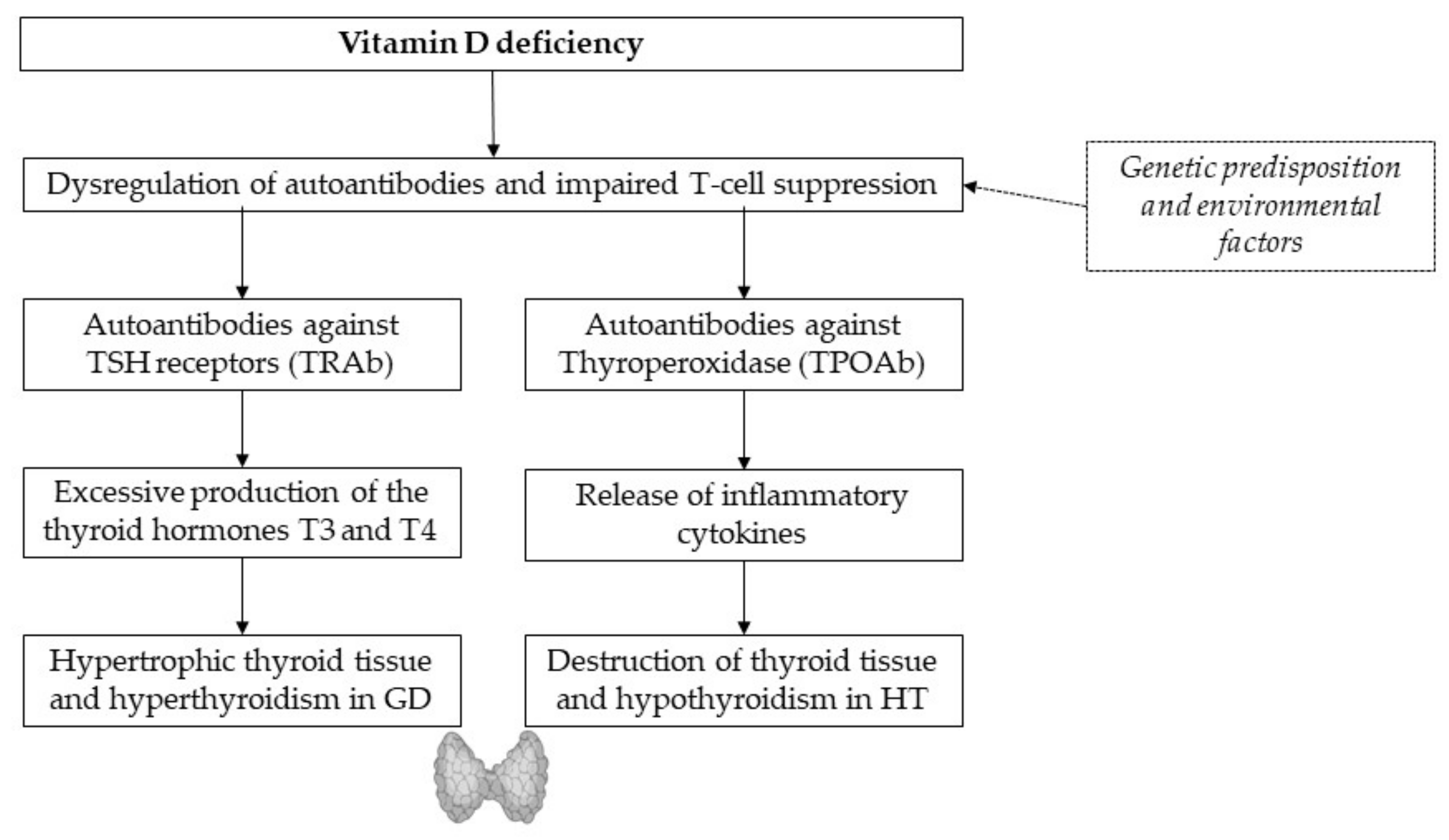 Nutrients 13 01755 g001 Nutrients 13 01755 g001