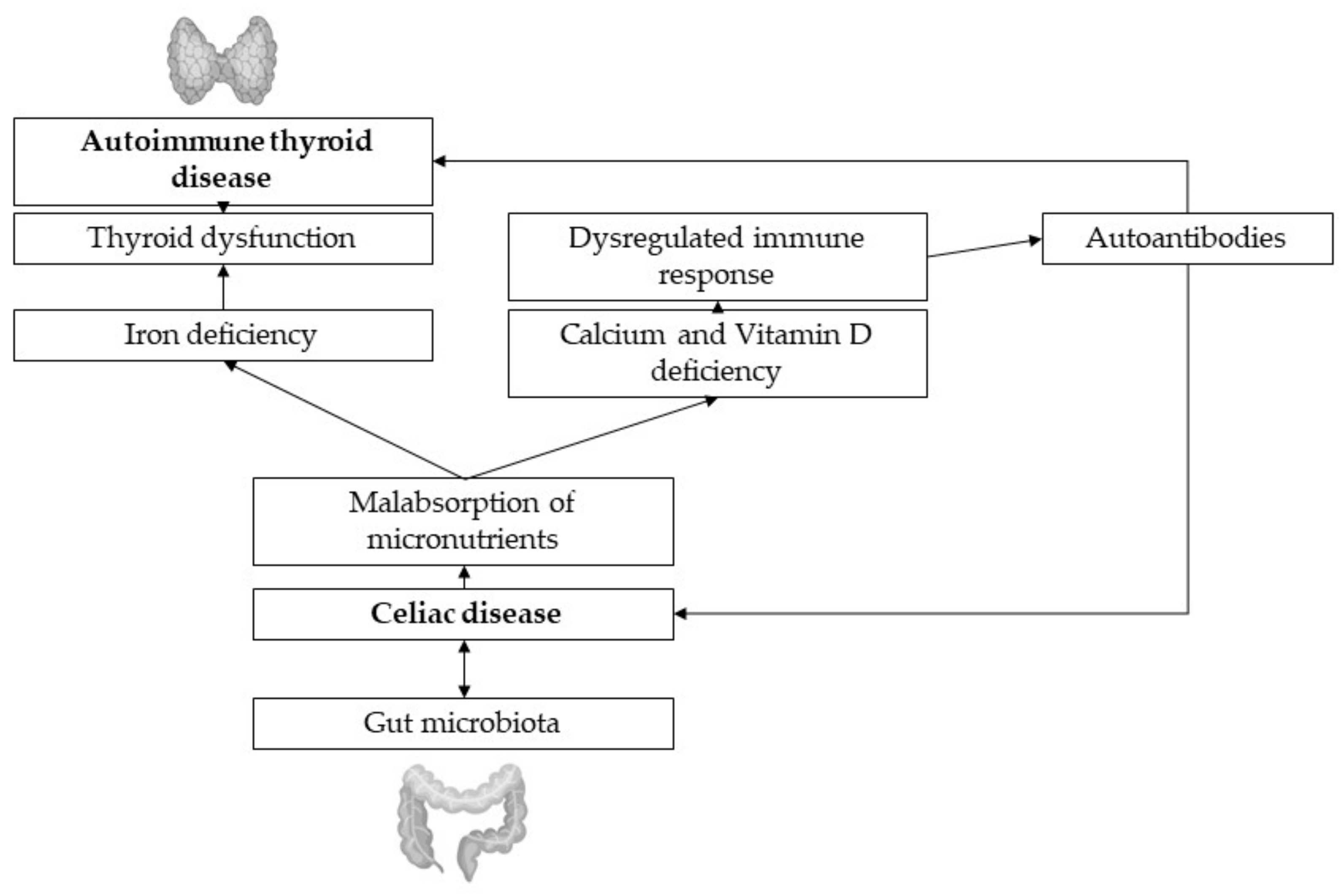 Nutrients 13 01755 g002 Nutrients 13 01755 g002