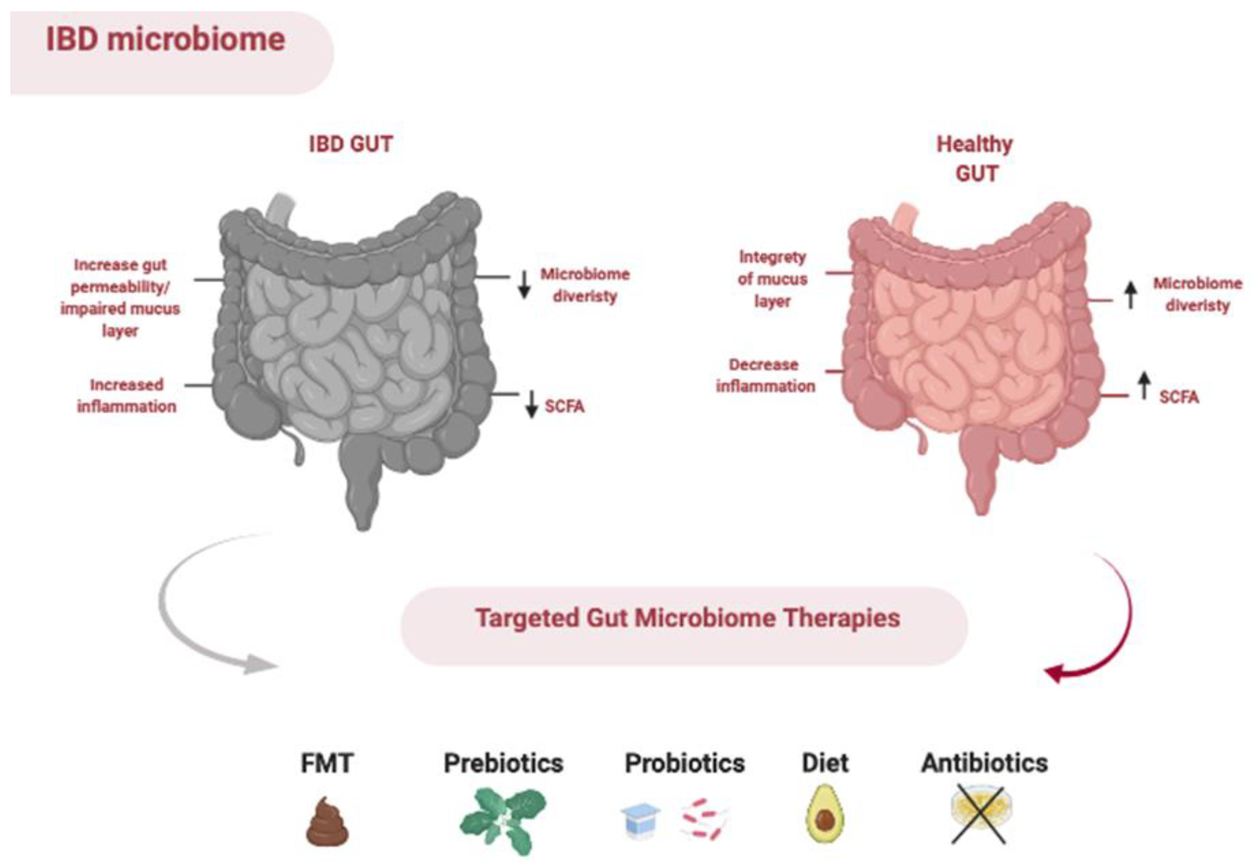 Nutrients 13 01780 g002