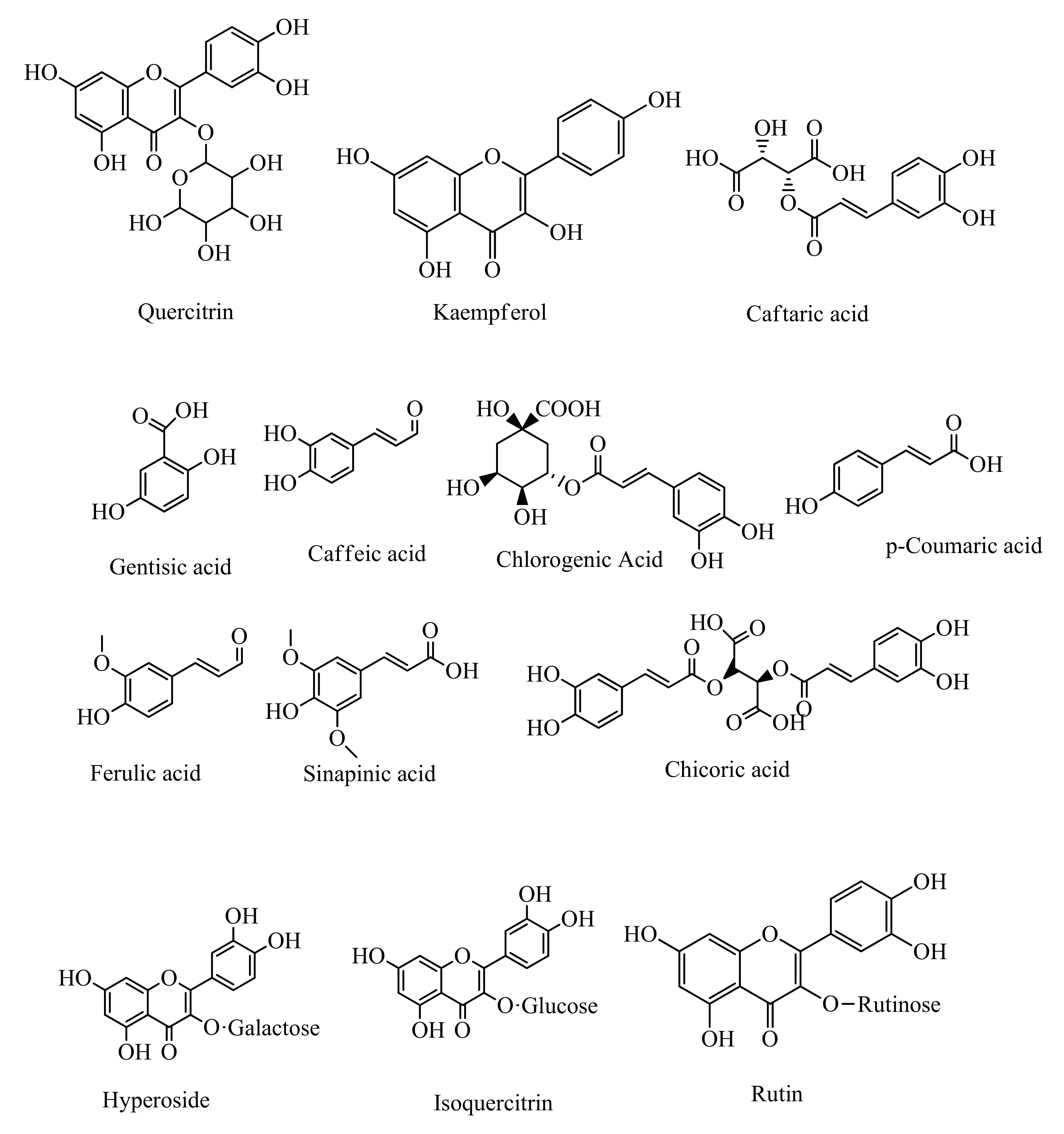Nutrients 13 01784 g002e Nutrients 13 01784 g002e