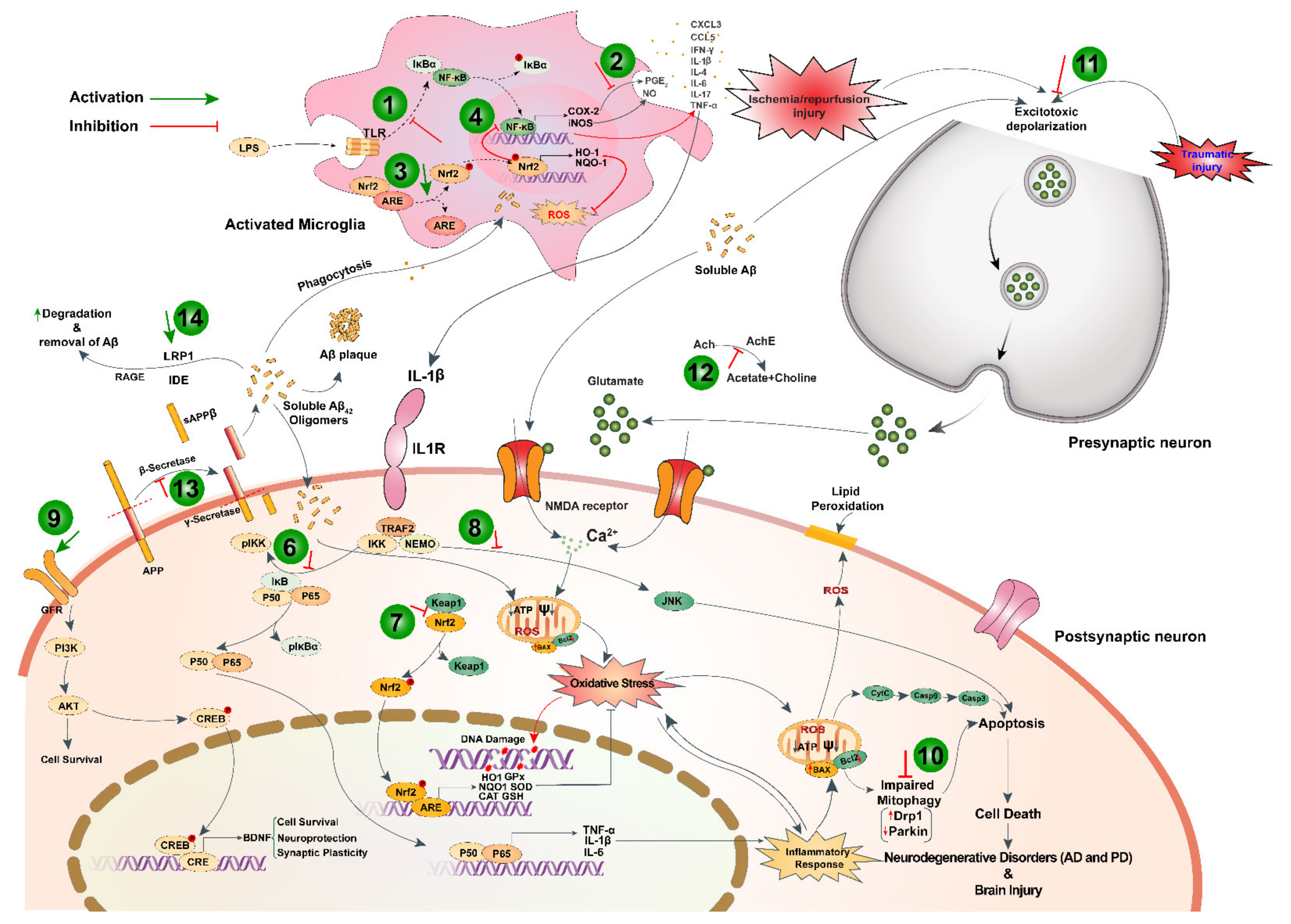 Nutrients 13 01784 g003 Nutrients 13 01784 g003