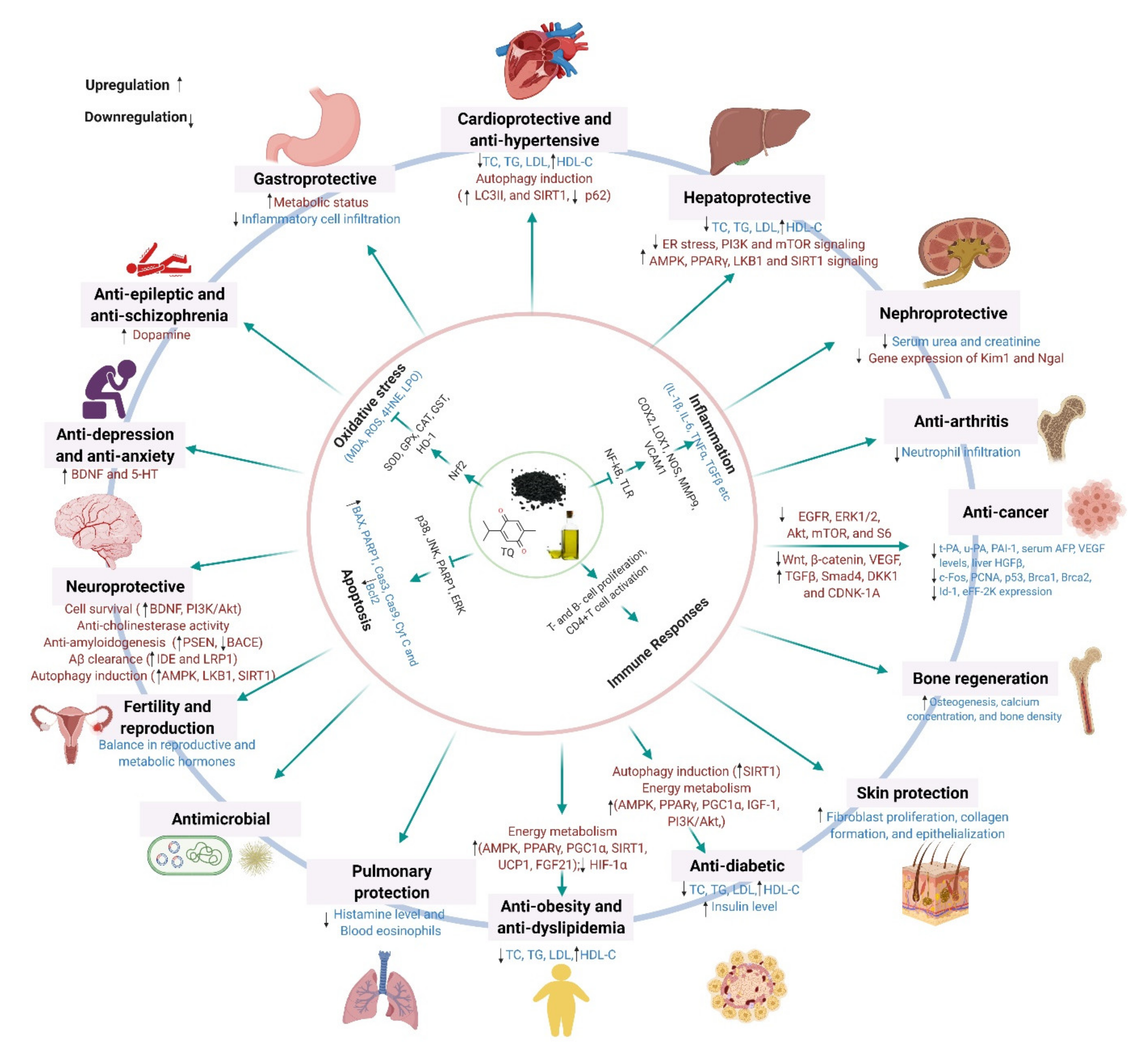 Nutrients 13 01784 g006 Nutrients 13 01784 g006