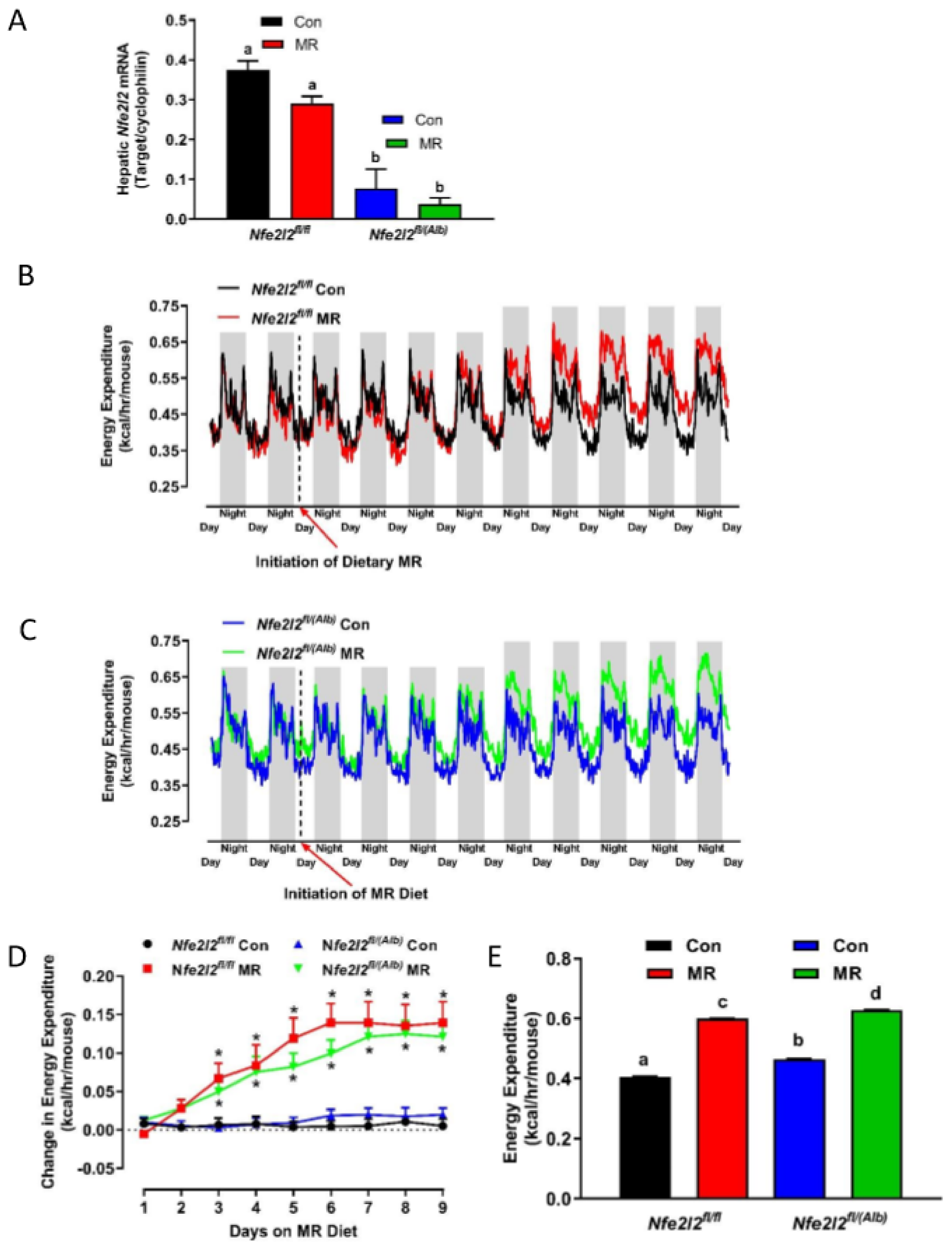 Nutrients 13 01788 g001 Nutrients 13 01788 g001