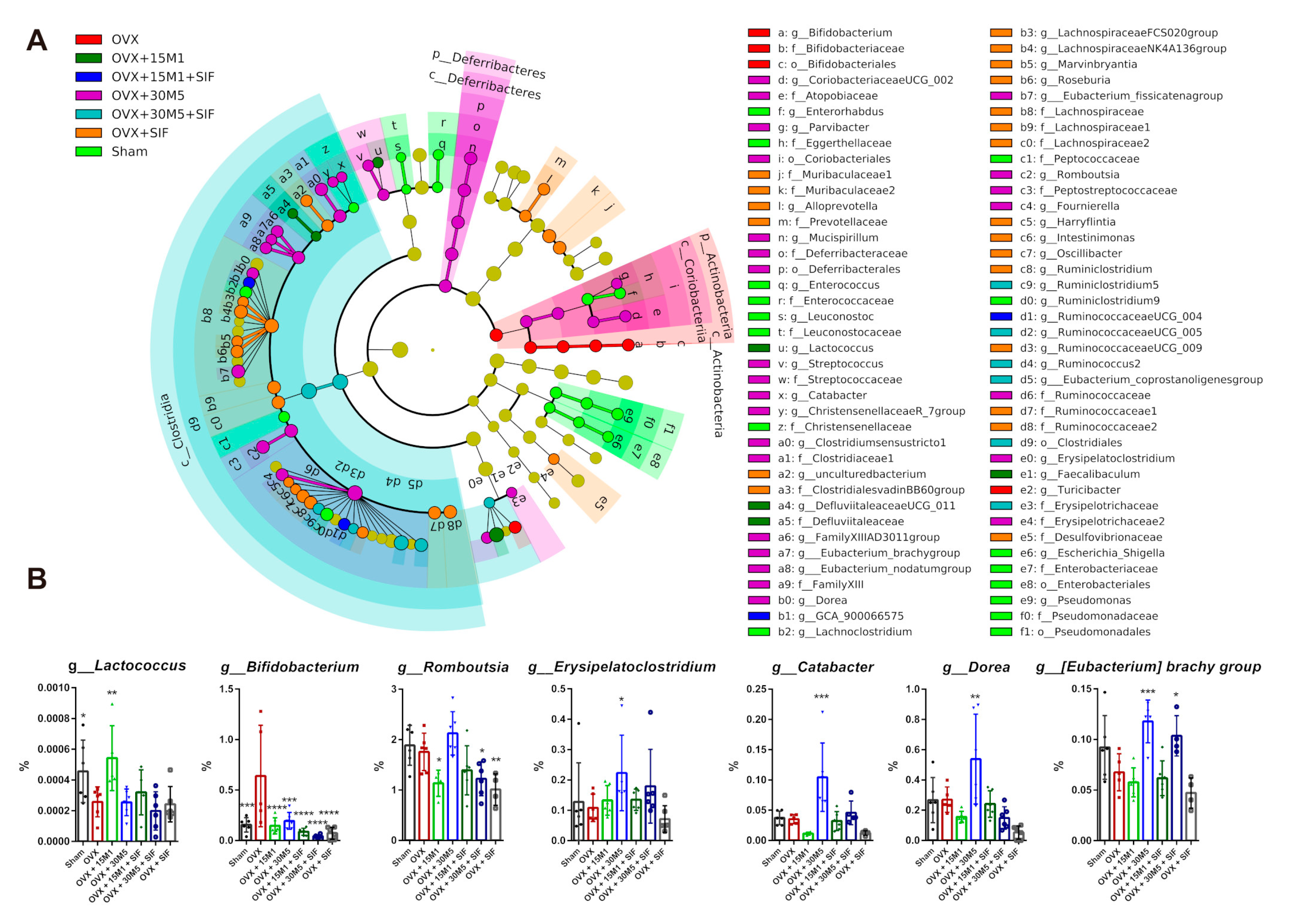Nutrients 13 01793 g006
