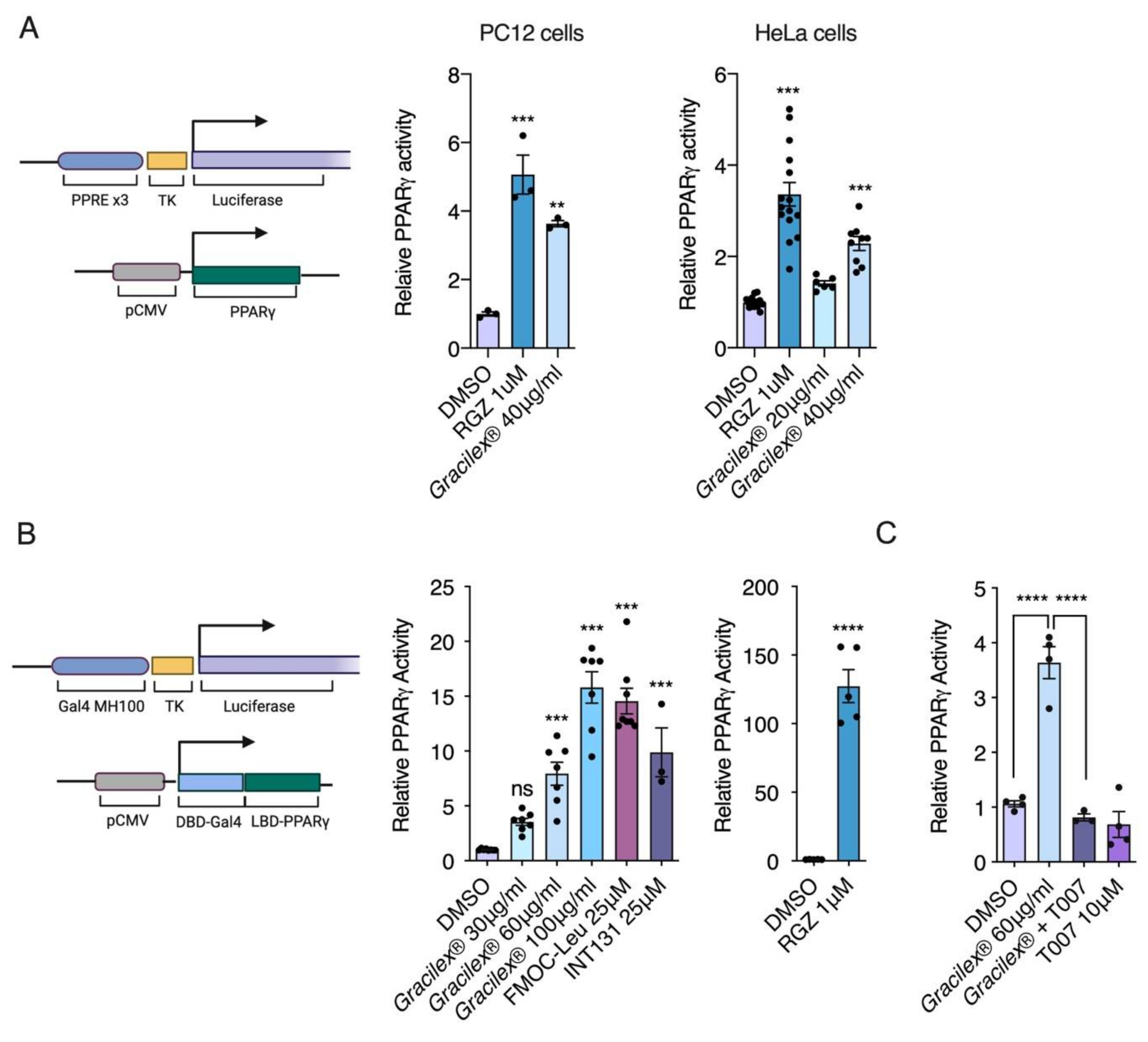 Nutrients 13 01828 g001