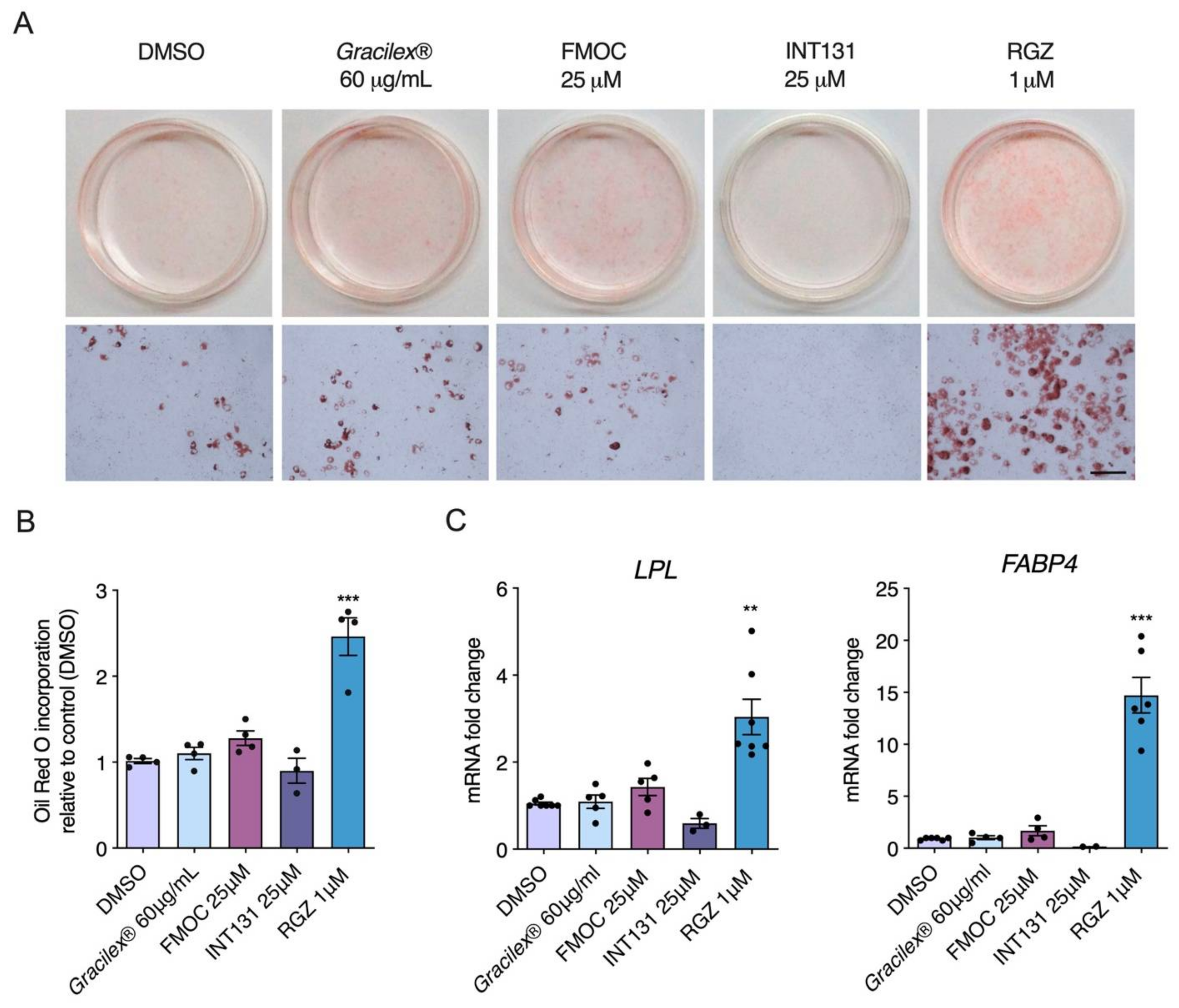 Nutrients 13 01828 g002