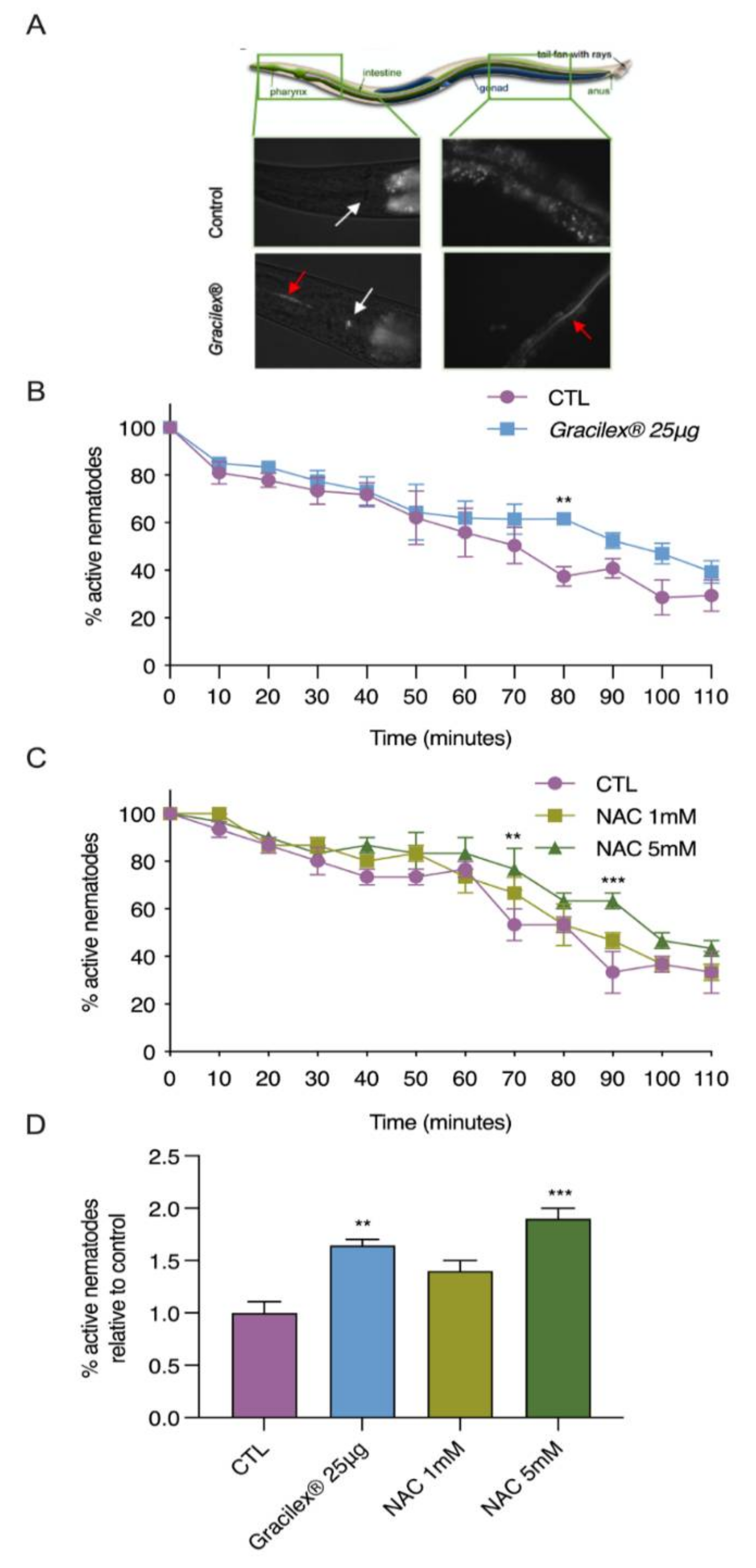 Nutrients 13 01828 g005