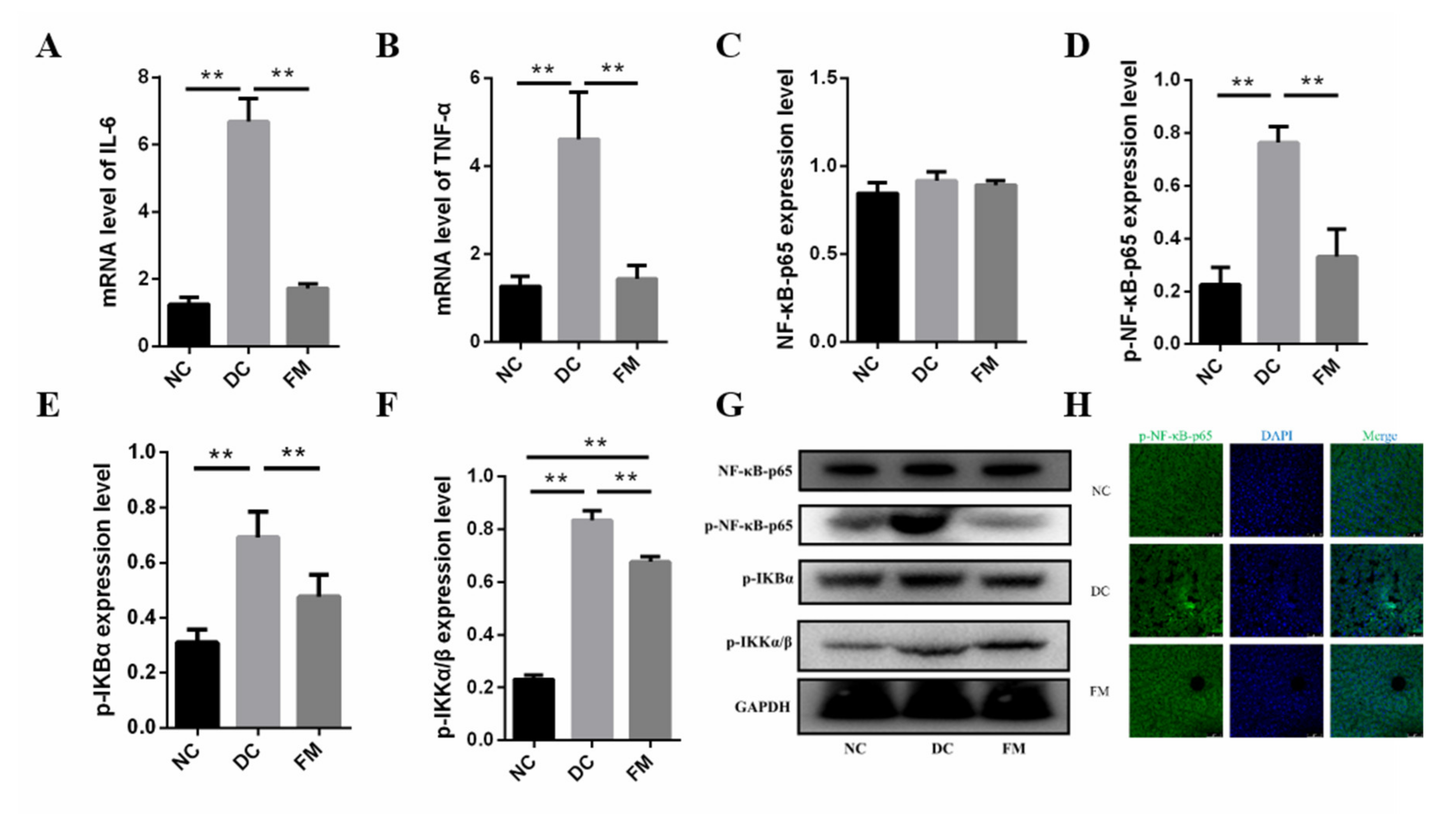 Nutrients 13 01837 g006