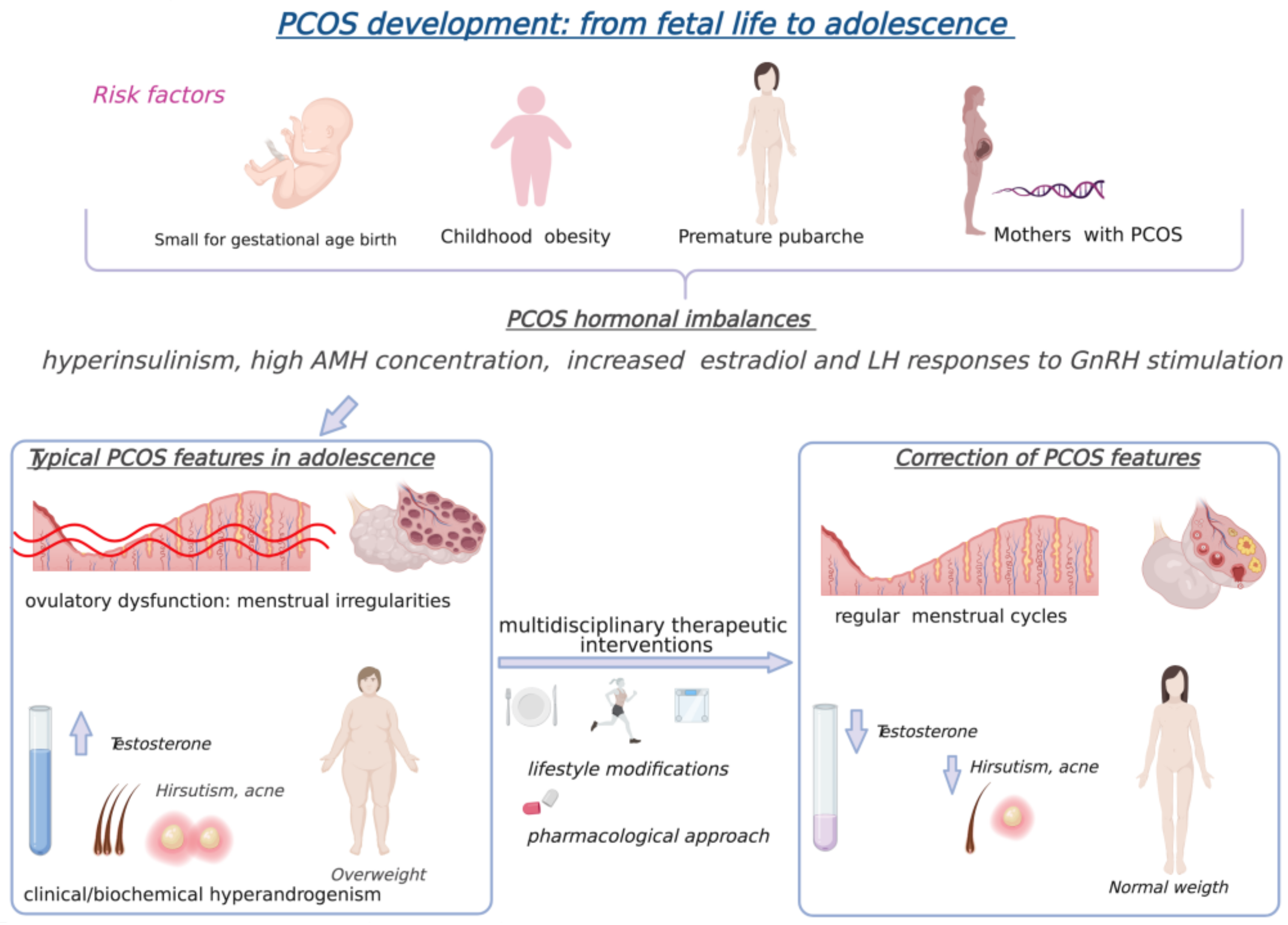 Nutrients 13 01848 g001 Nutrients 13 01848 g001