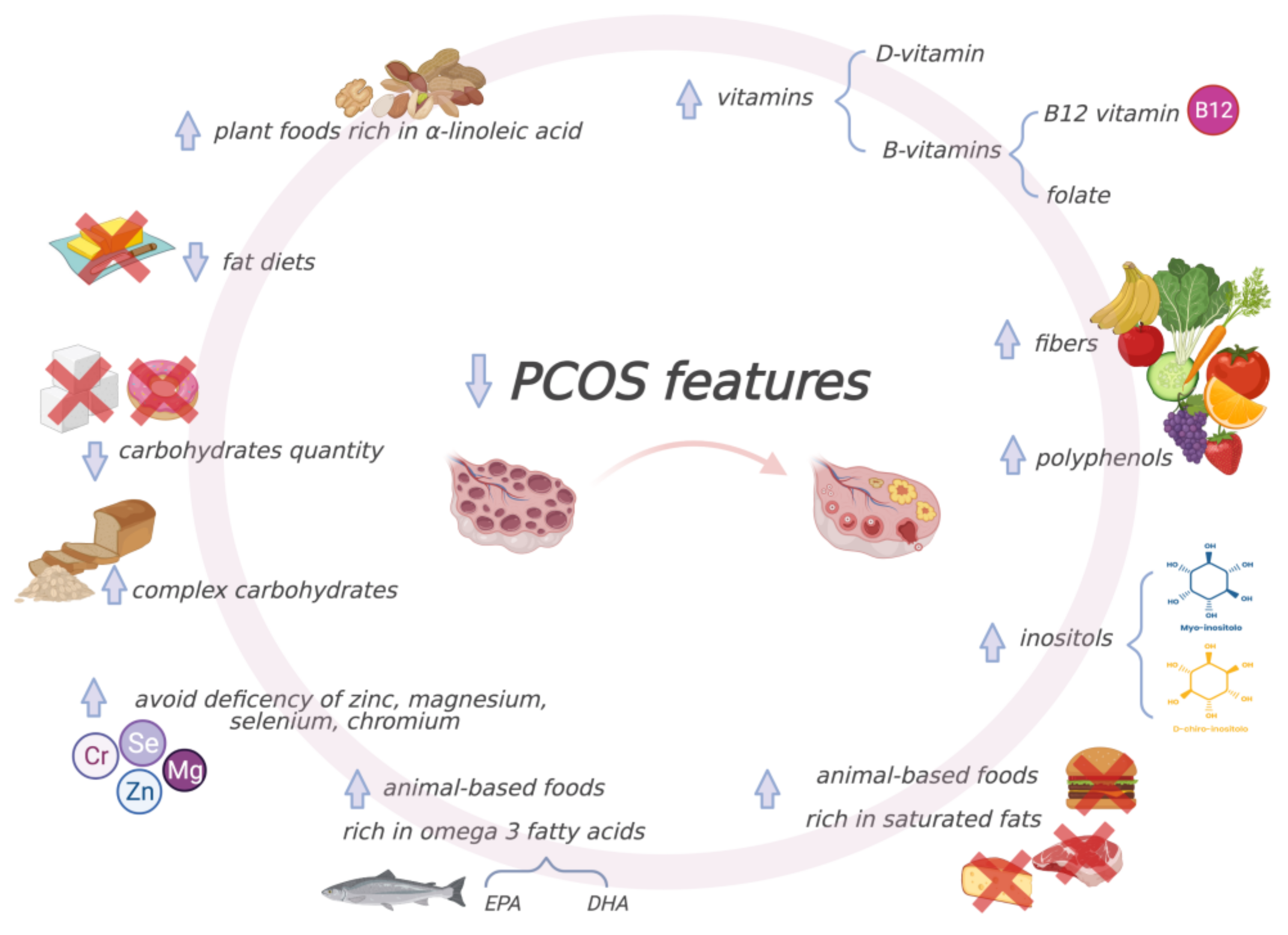 Nutrients 13 01848 g003 Nutrients 13 01848 g003