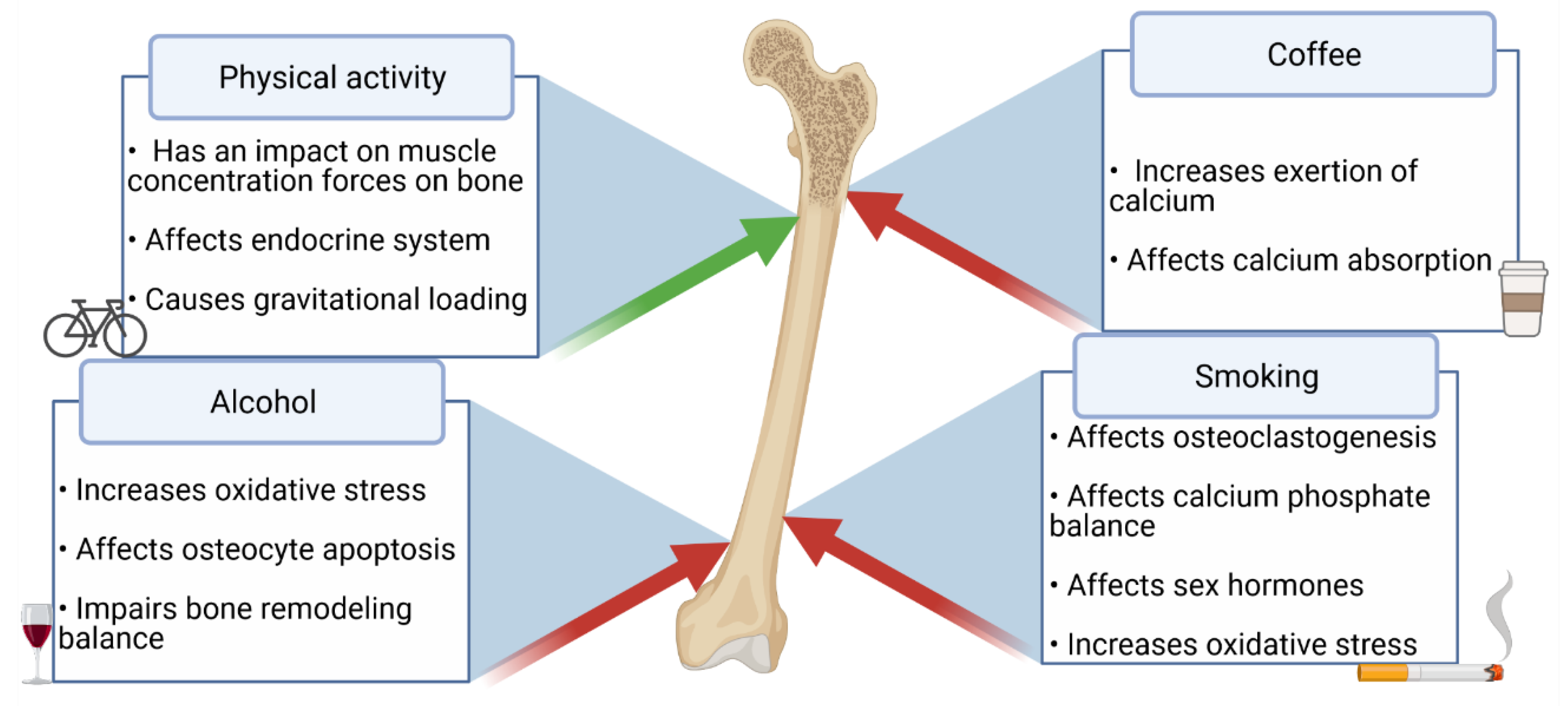 Nutrients 13 01863 g001