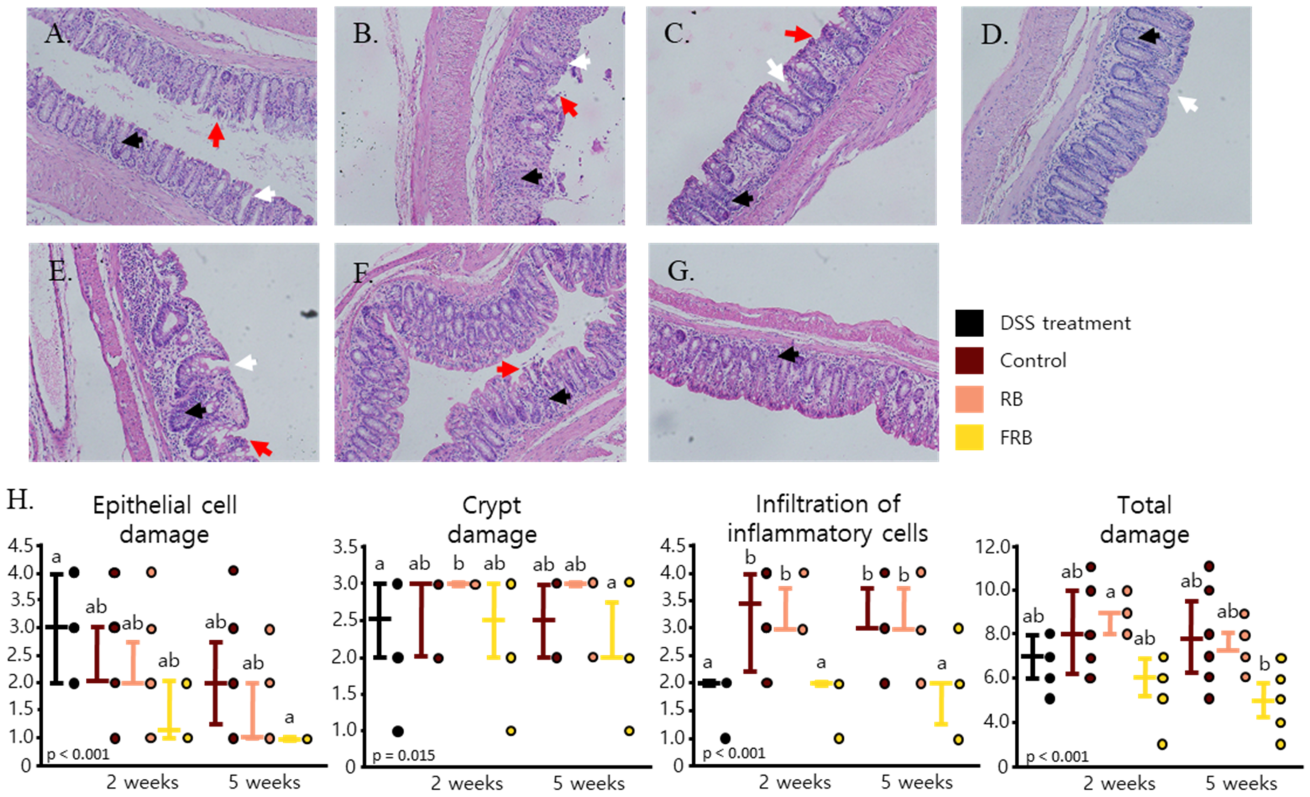 Nutrients 13 01869 g002