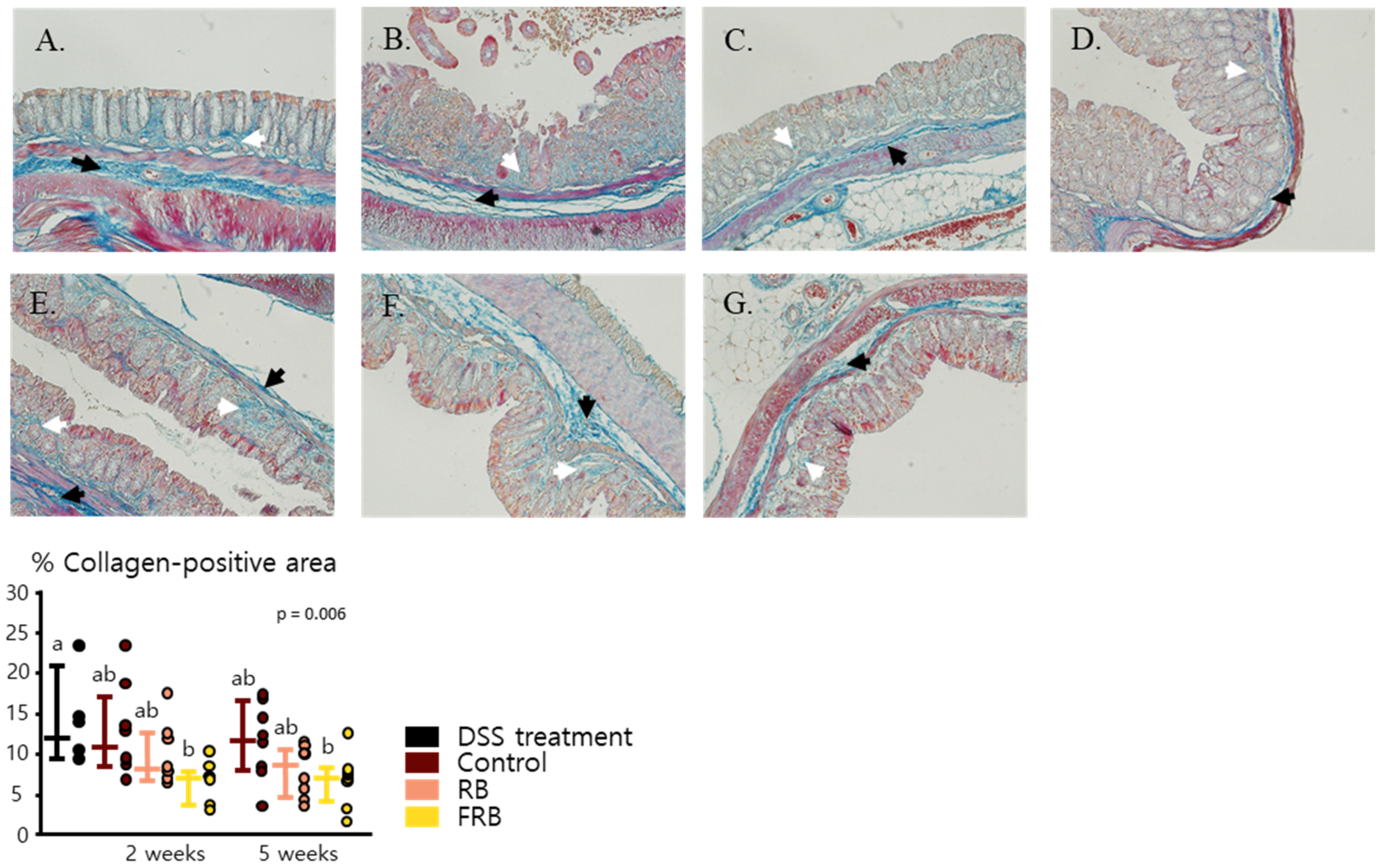 Nutrients 13 01869 g006