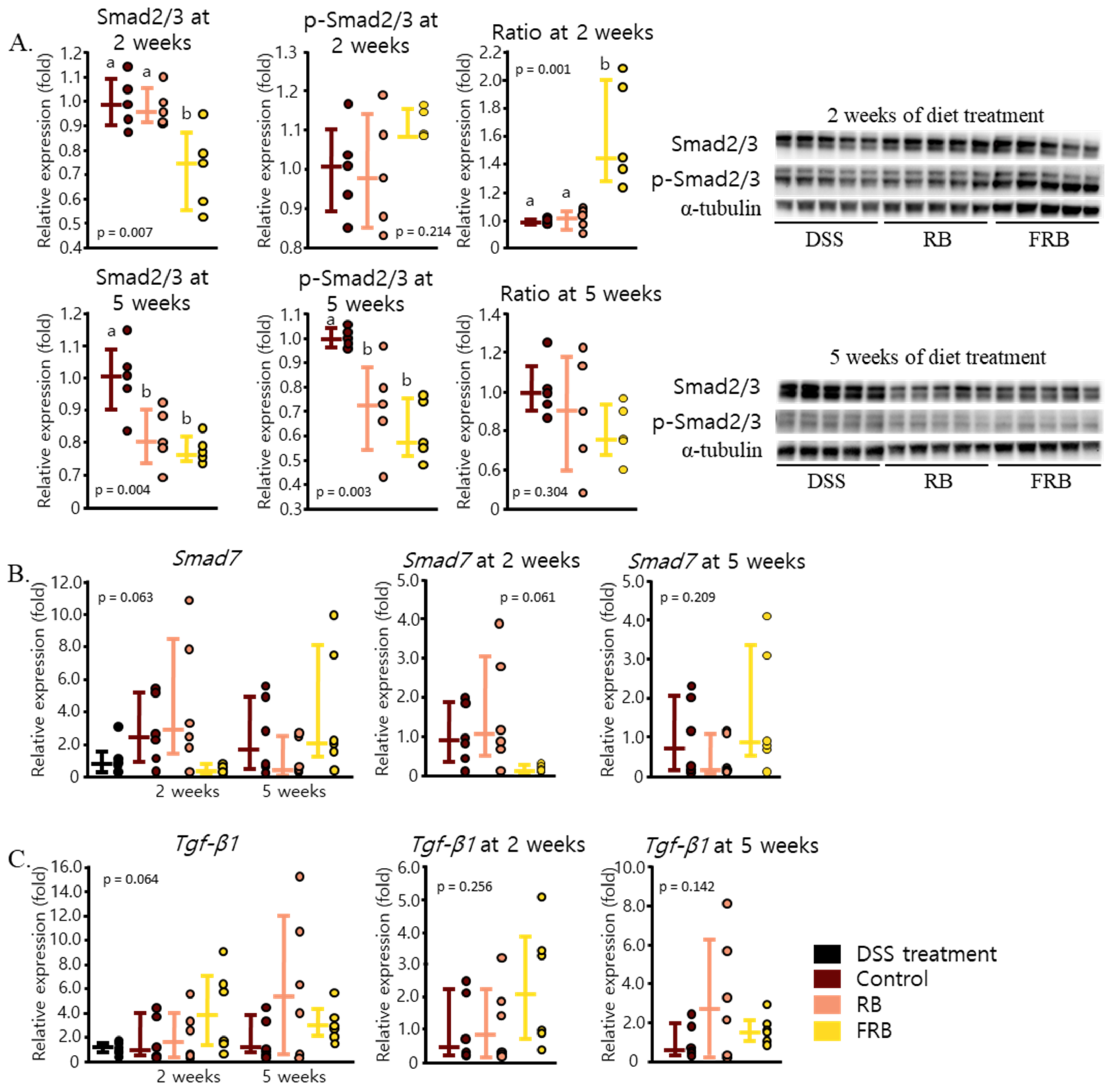 Nutrients 13 01869 g008