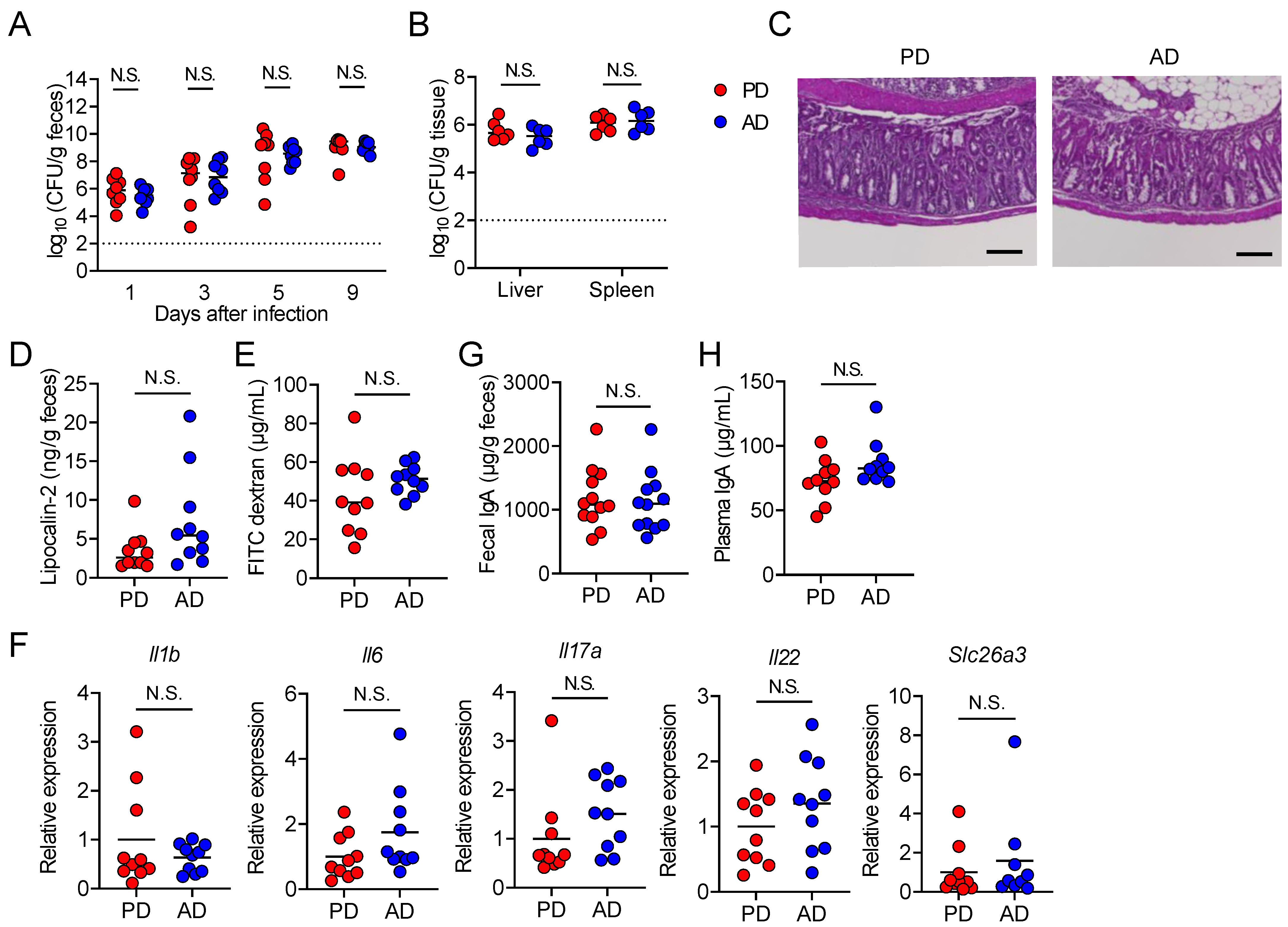 Nutrients 13 01896 g002