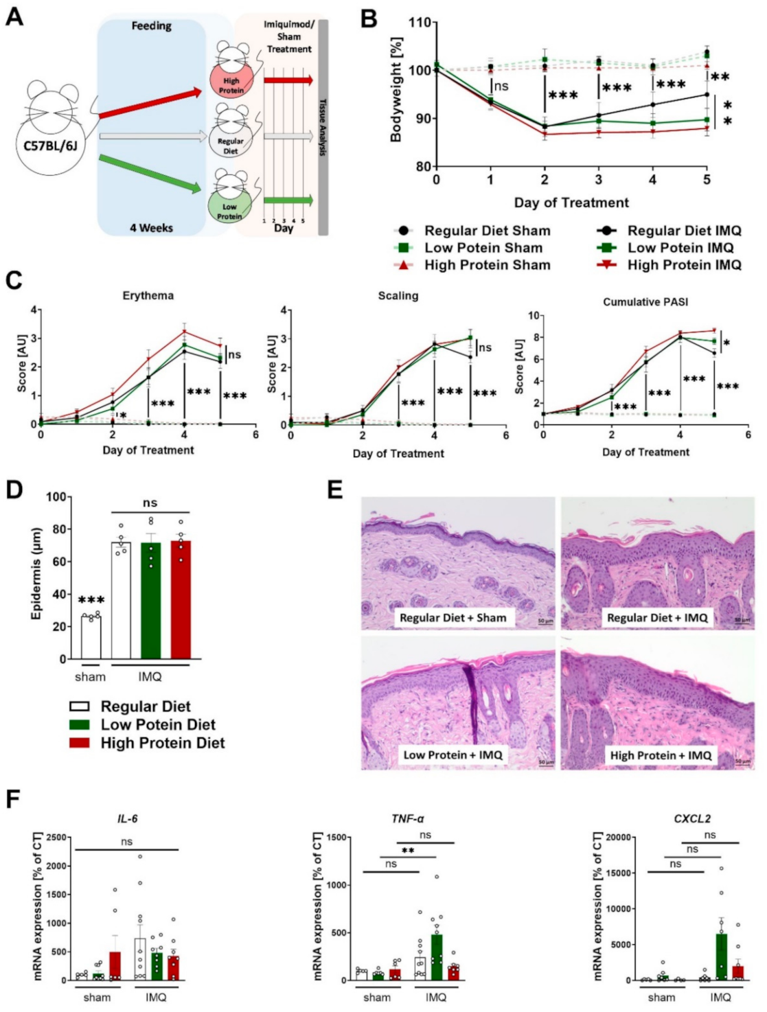 Nutrients 13 01897 g002