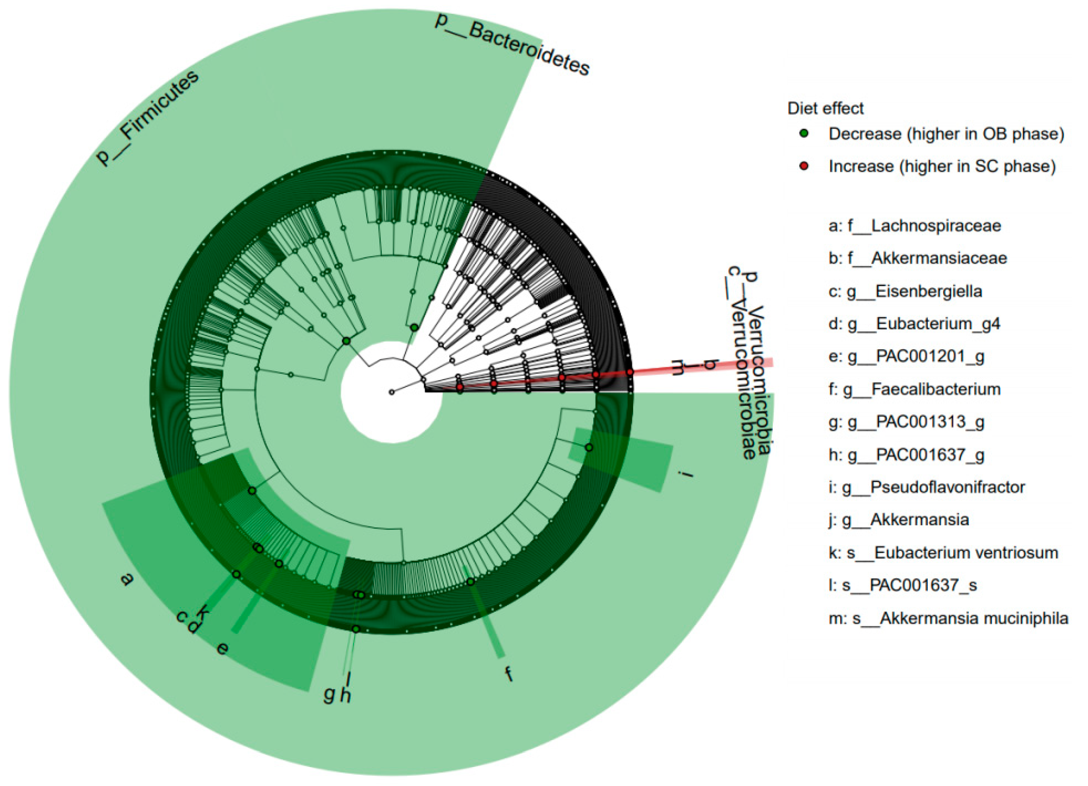 Nutrients 13 01905 g004