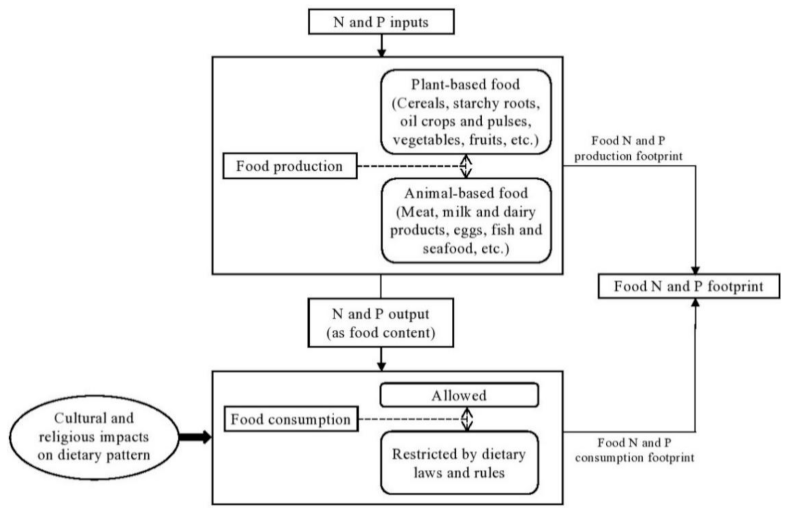 Nutrients 13 01926 g001