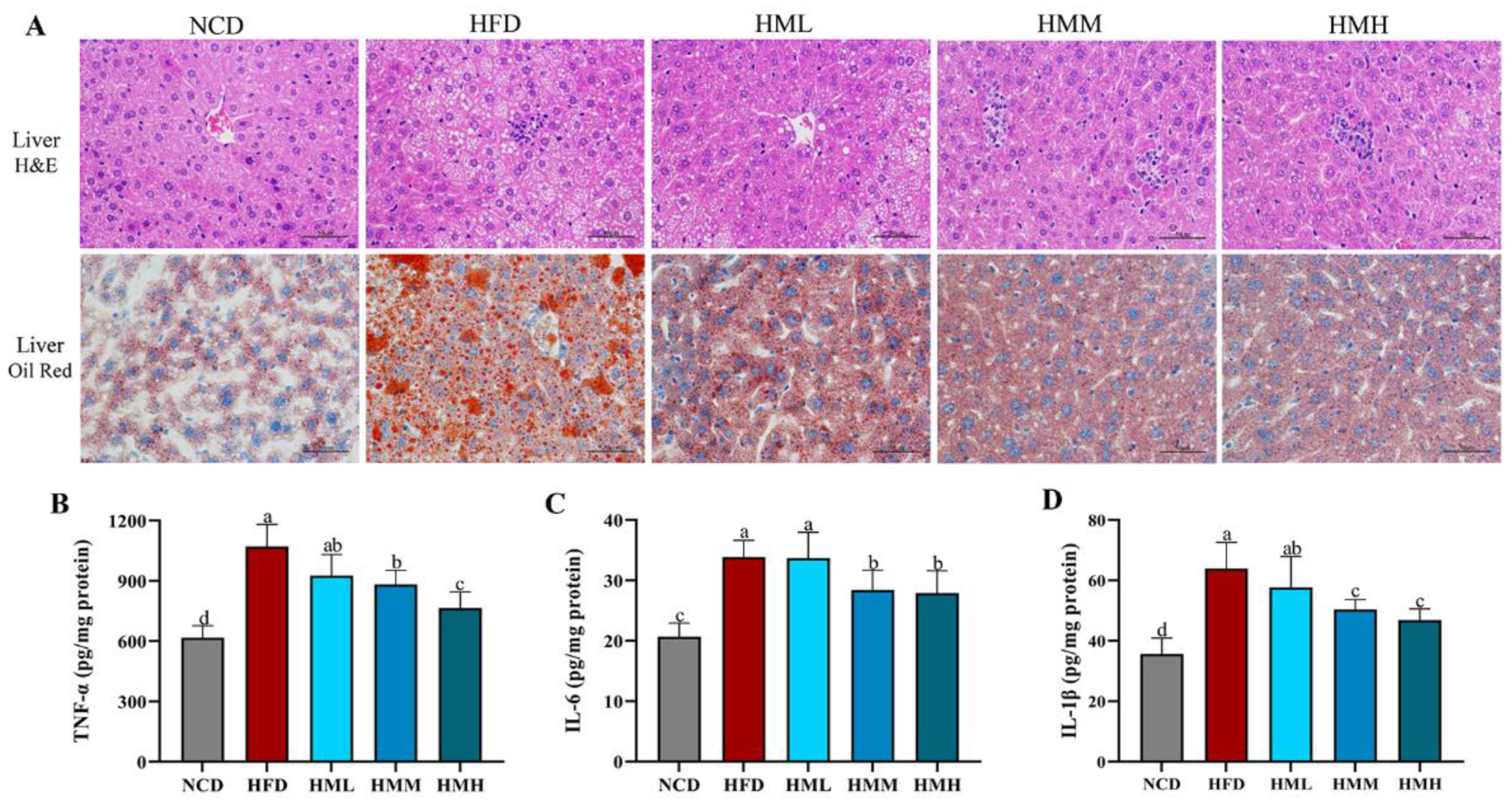 Nutrients 13 01950 g003