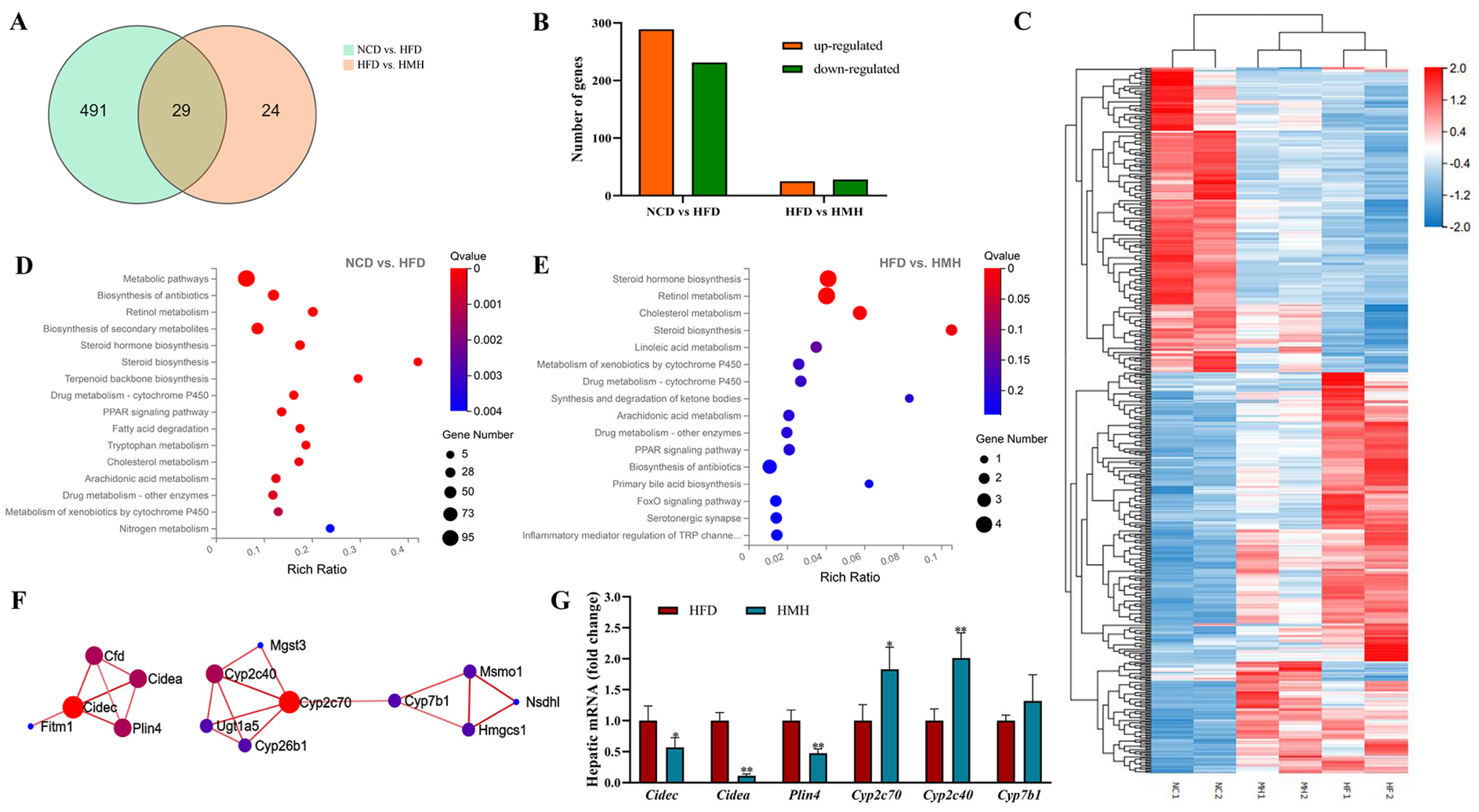 Nutrients 13 01950 g004