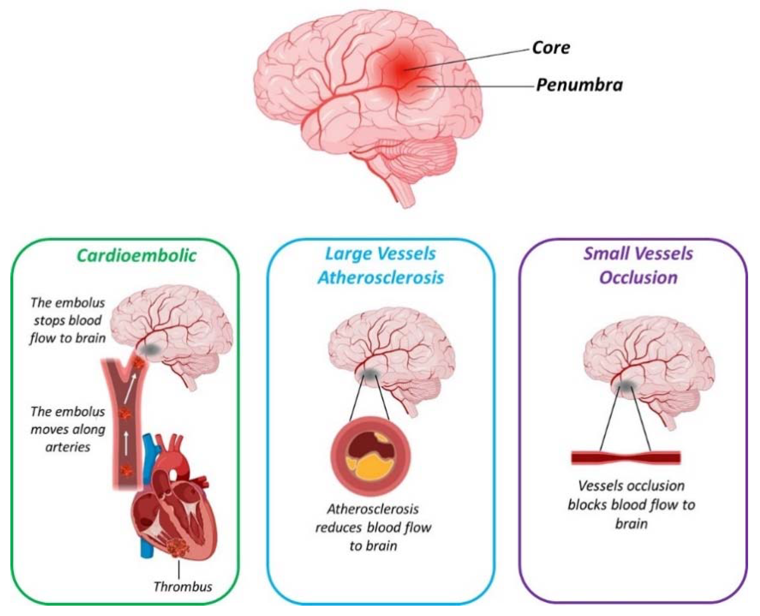 Nutrients 13 01967 g002