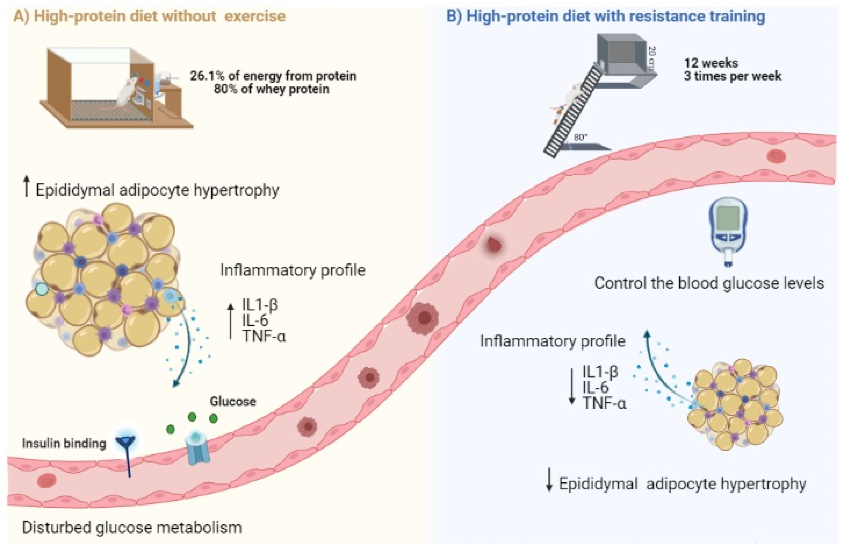 Nutrients 13 01969 g005
