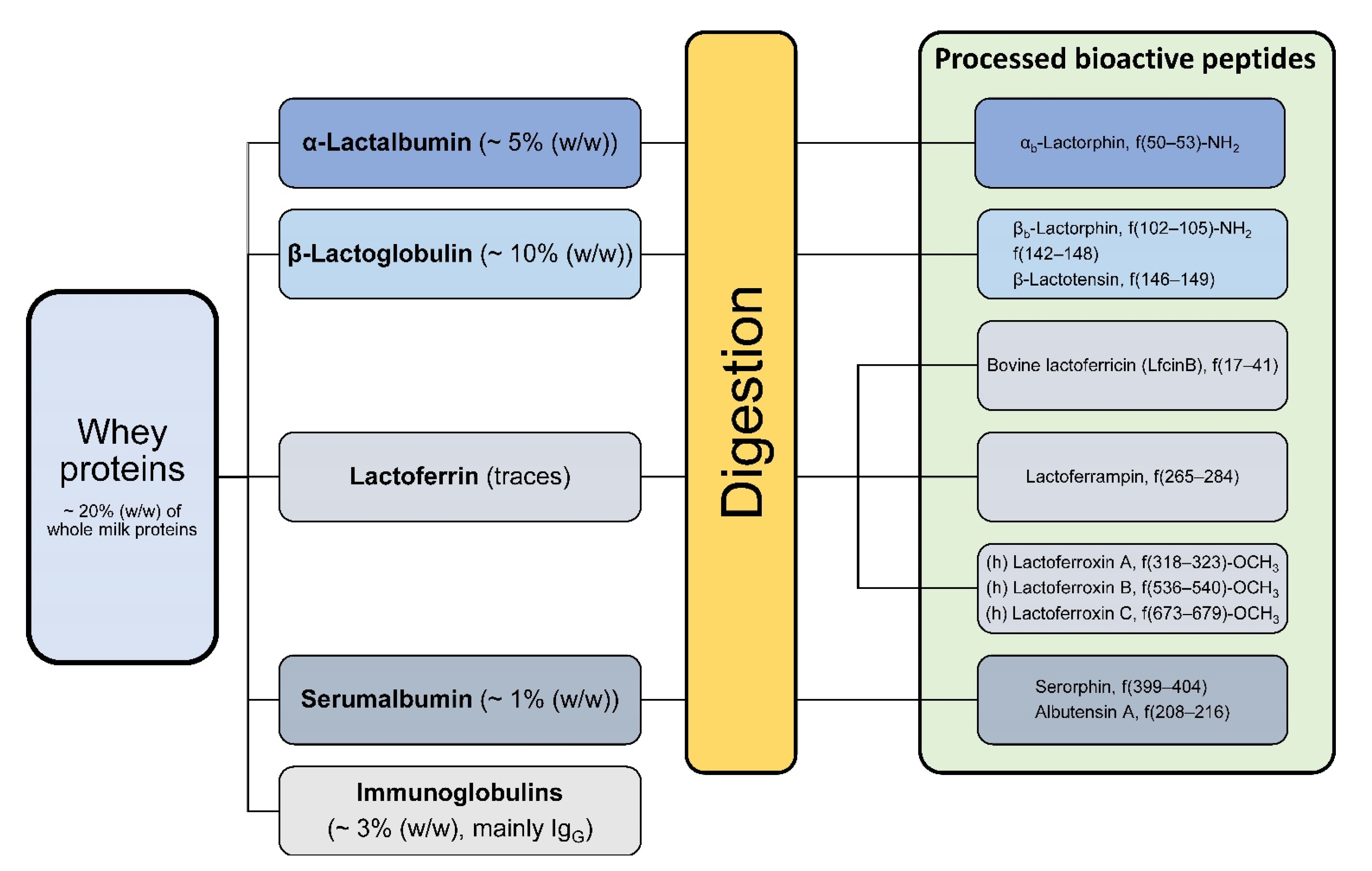 Nutrients 13 01974 g003 Nutrients 13 01974 g003