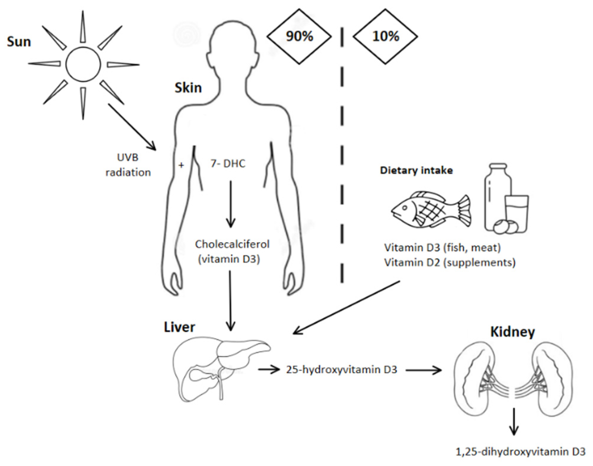 Nutrients 13 01990 g001